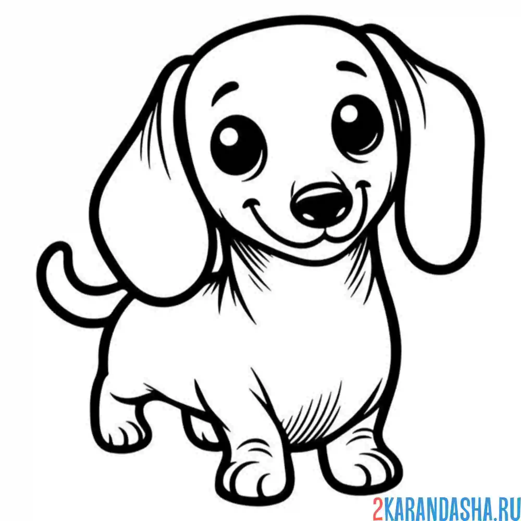 Раскраска милаш такса