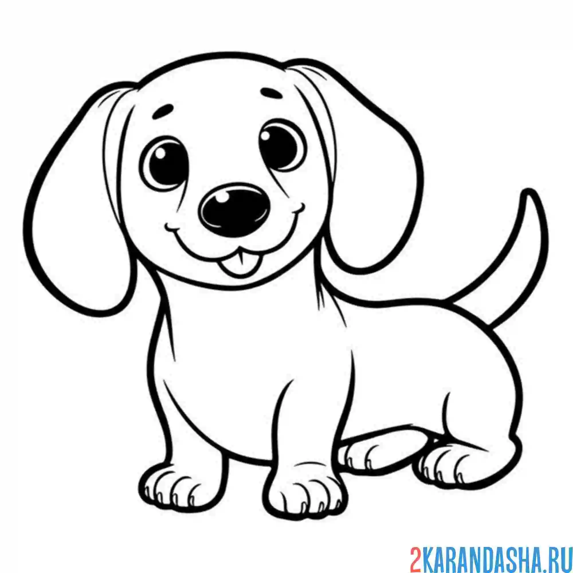 Раскраска такса улыбака