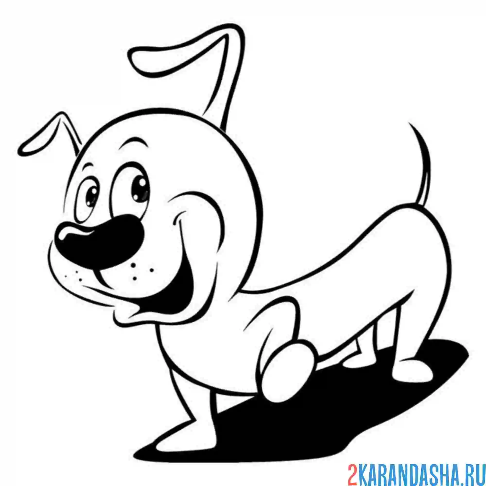 Раскраска такса смешная