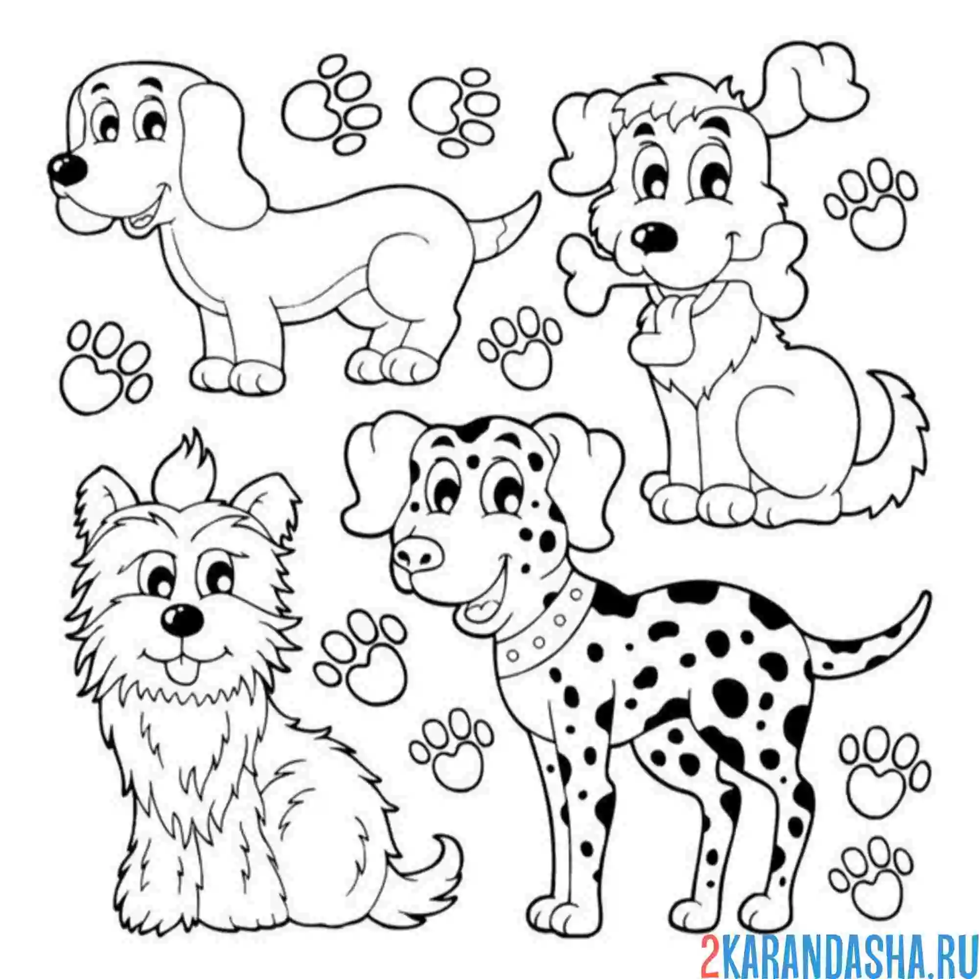 Раскраска такса и другие собаки