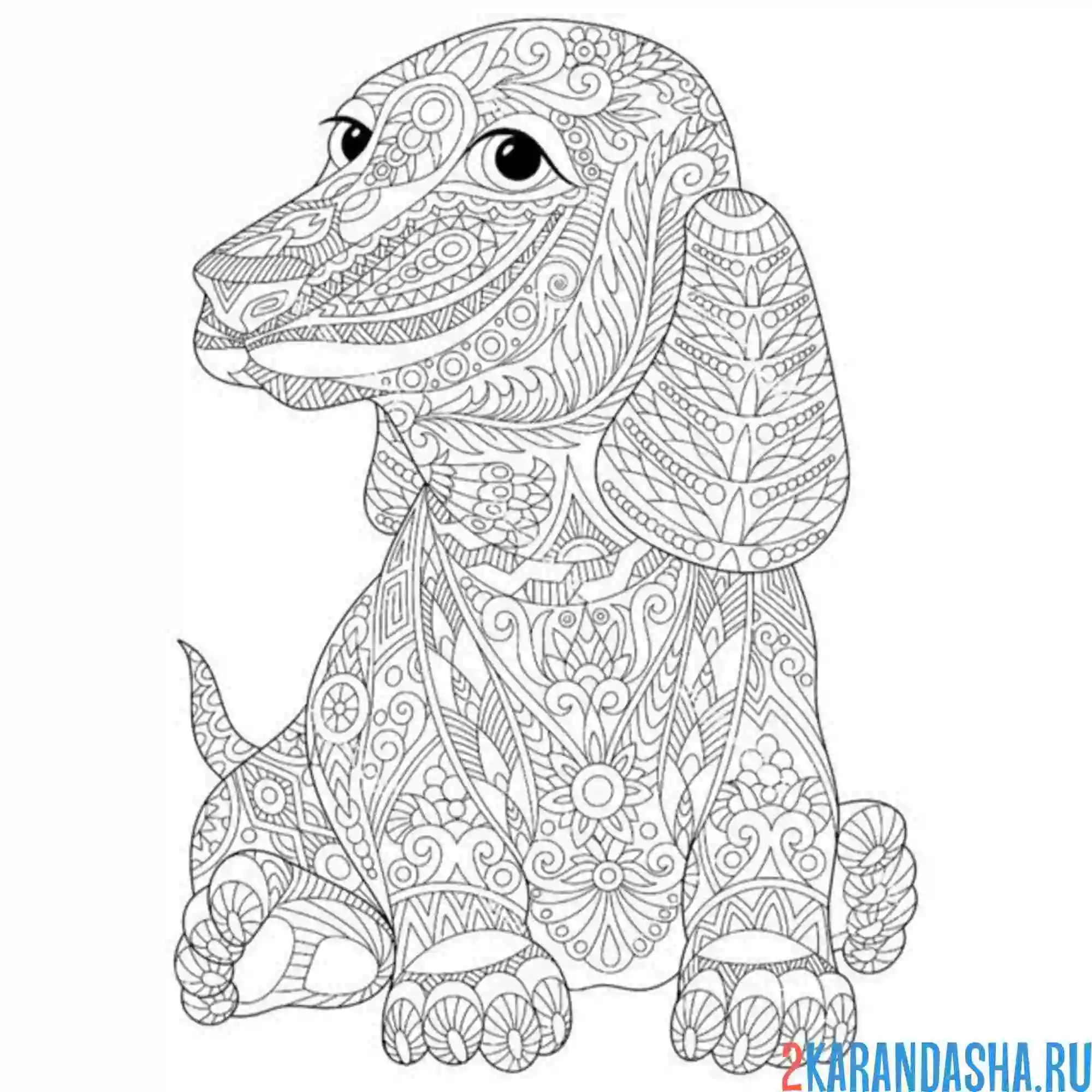 Раскраска такса антистресс