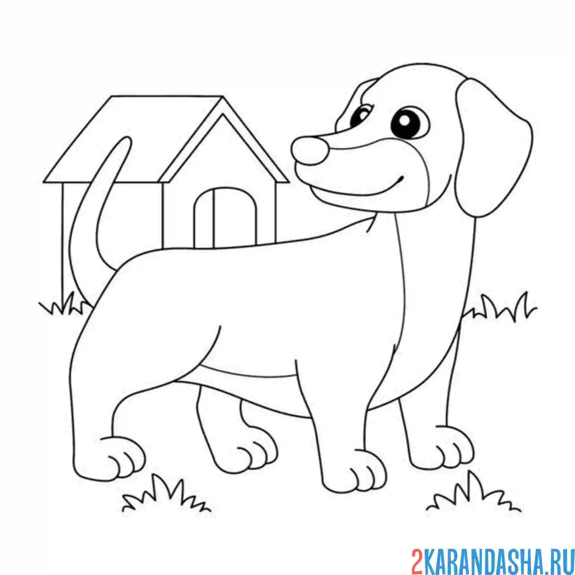 Раскраска такса и будка