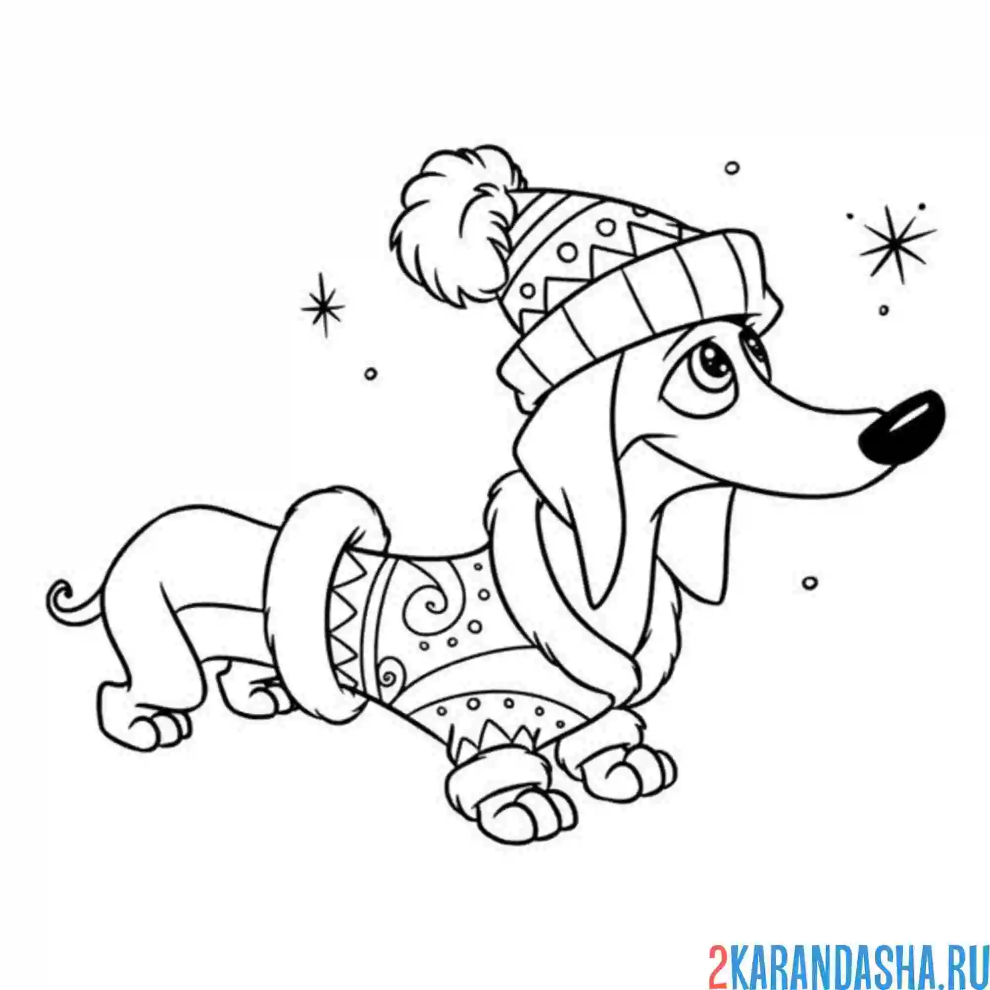 Раскраска такса в новогодней кофте