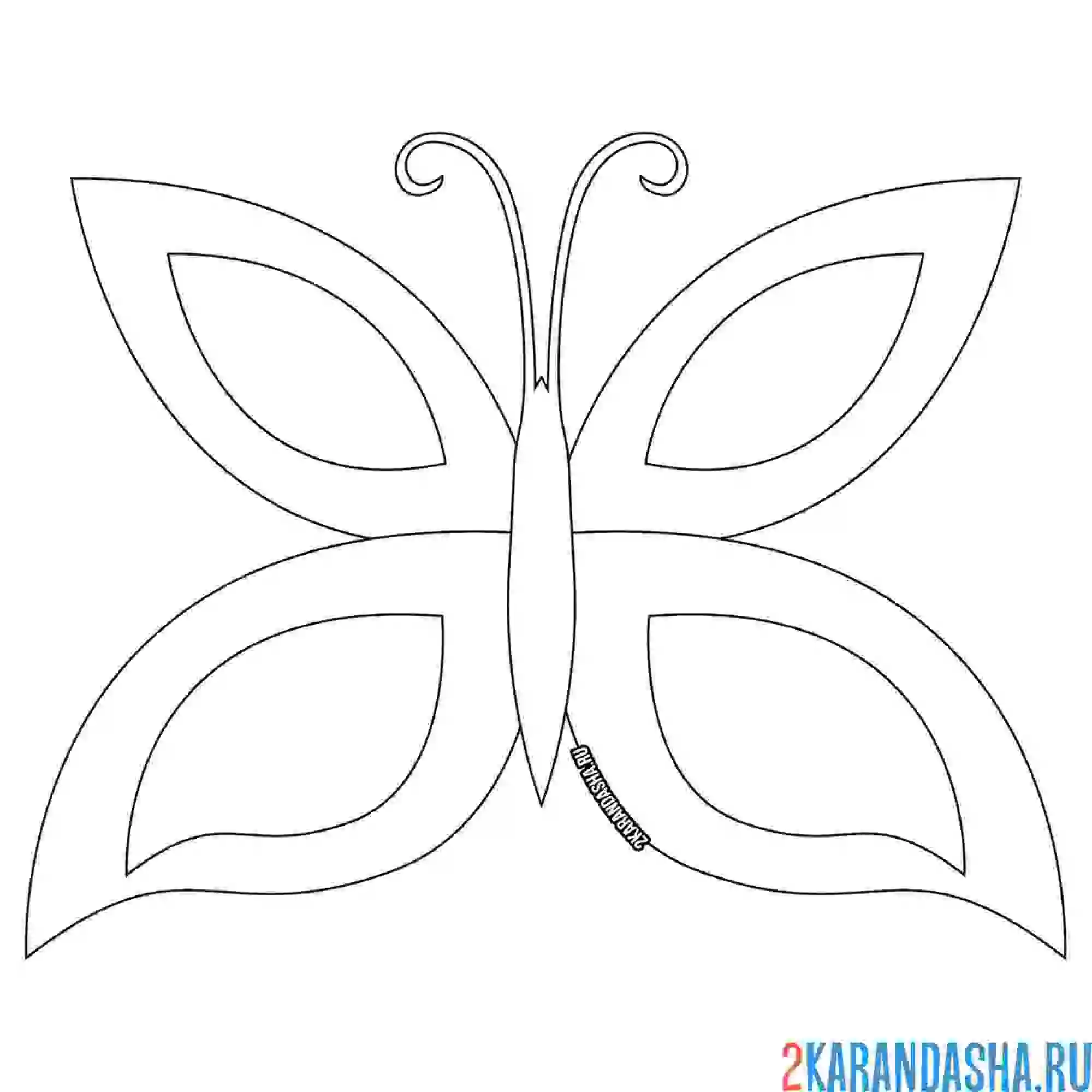 Раскраска бабочка для дошколят
