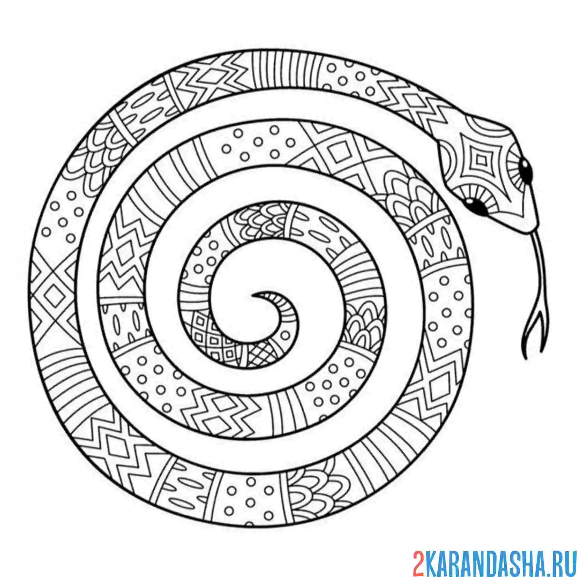 Раскраска антистресс змея на новый год 2025