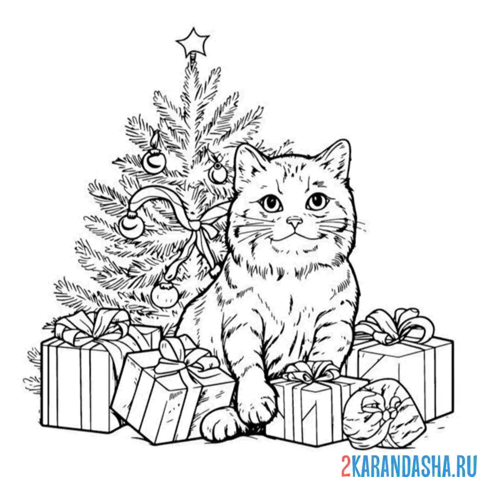 Раскраска подарки елка и котик