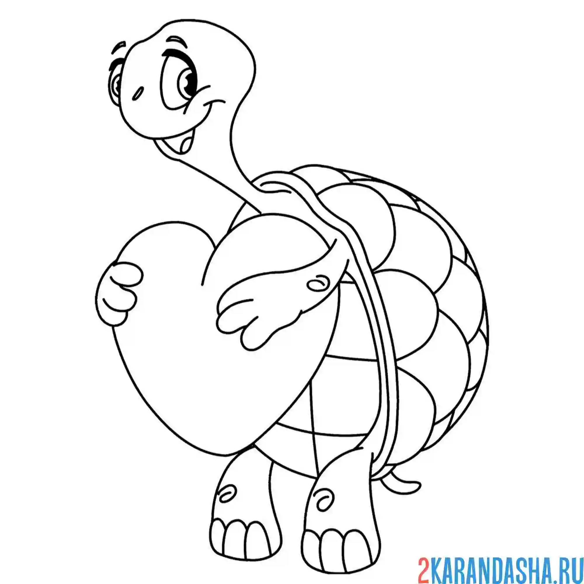 Раскраска черепашка 14 февраля