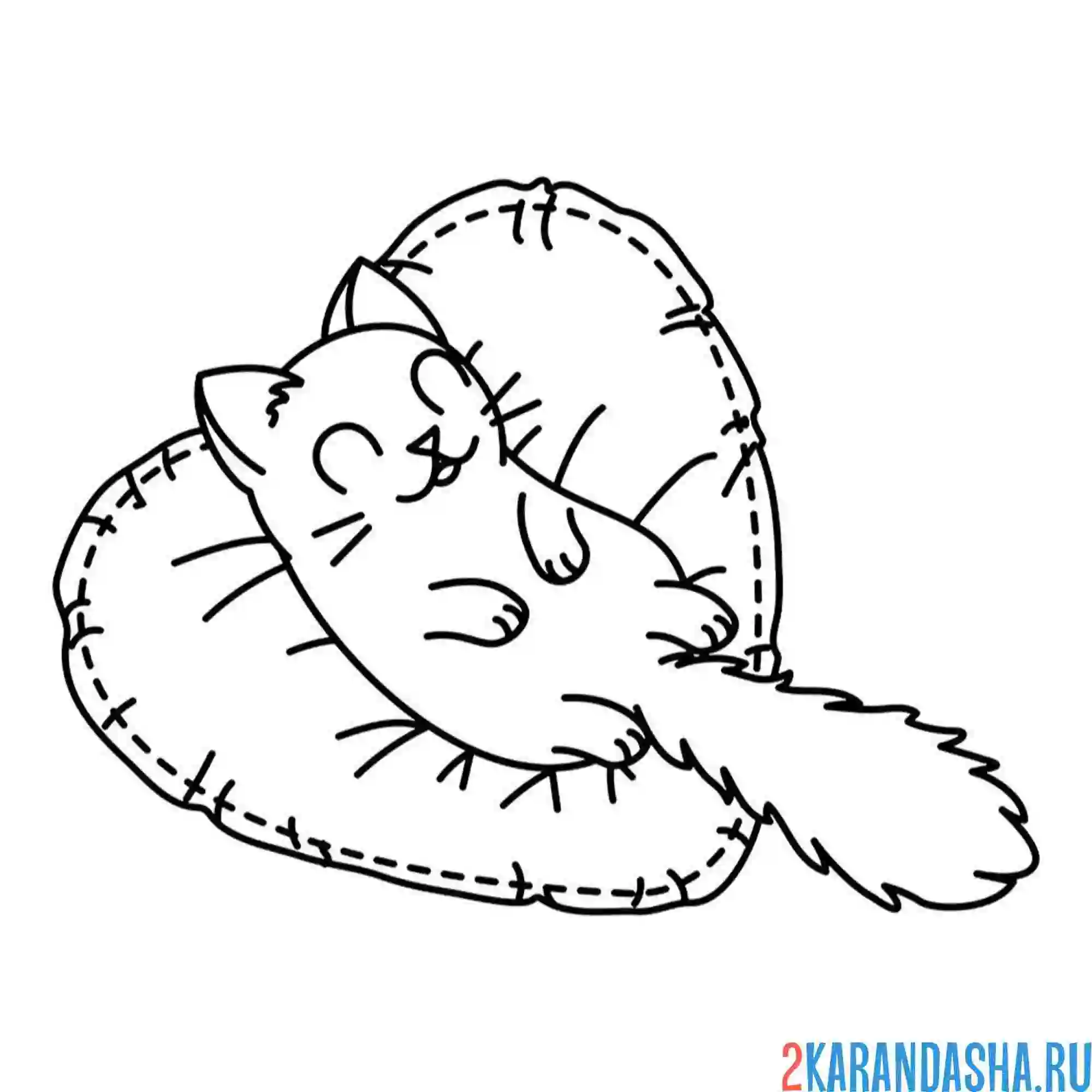 Раскраска котик спит на подушке