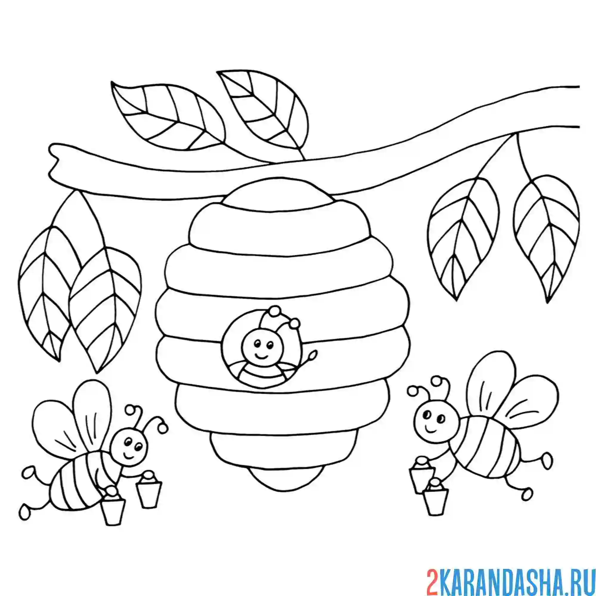 Раскраска улей и пчелы