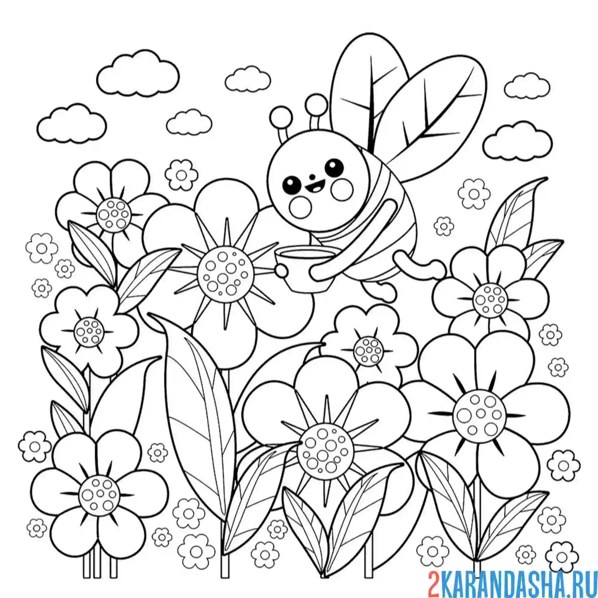 Раскраска пчела полевые цветы