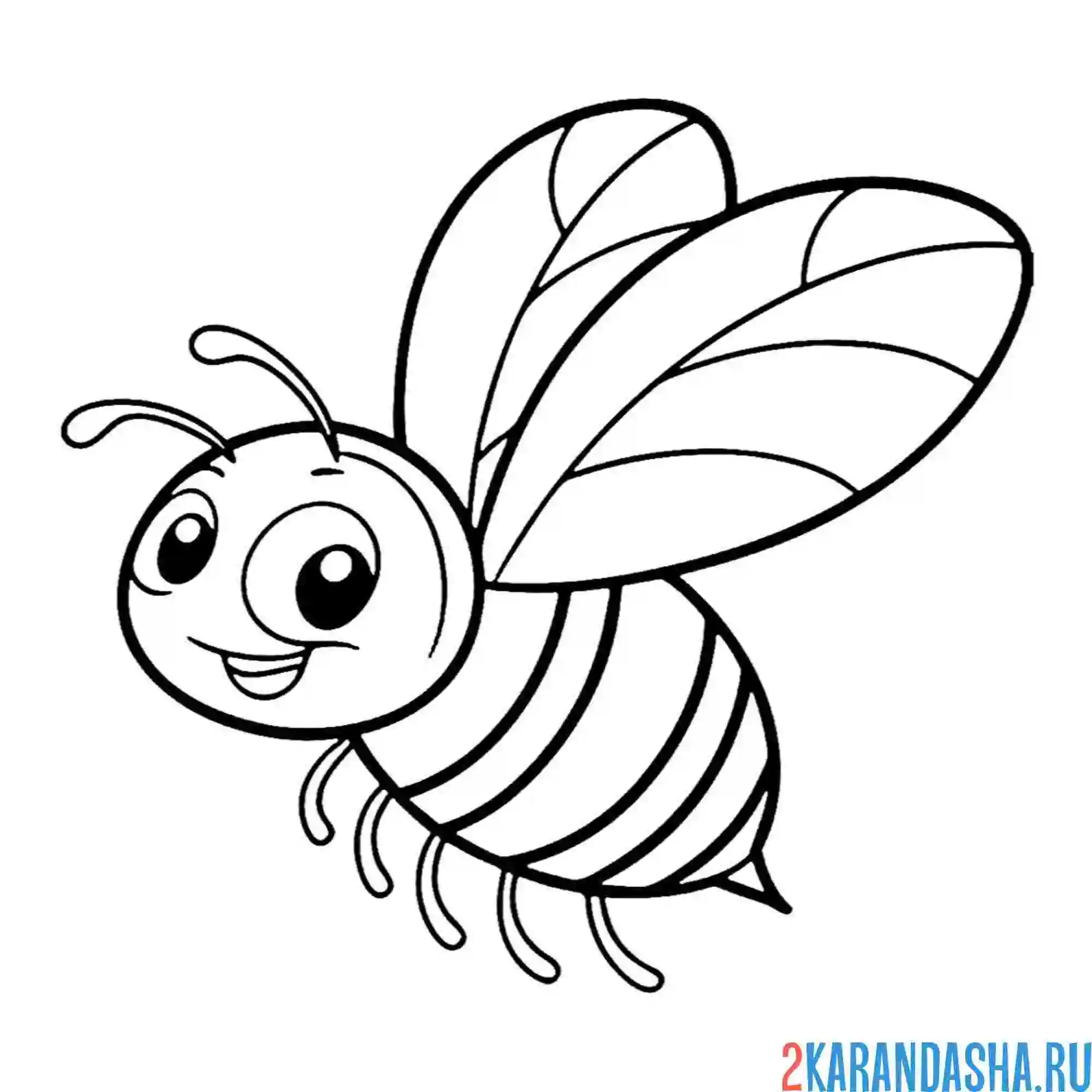 Раскраска милашка пчела