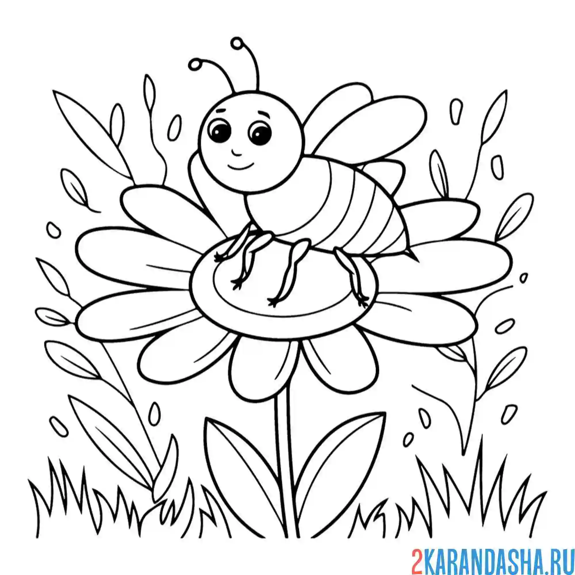 Раскраска пчела сидит на цветочке