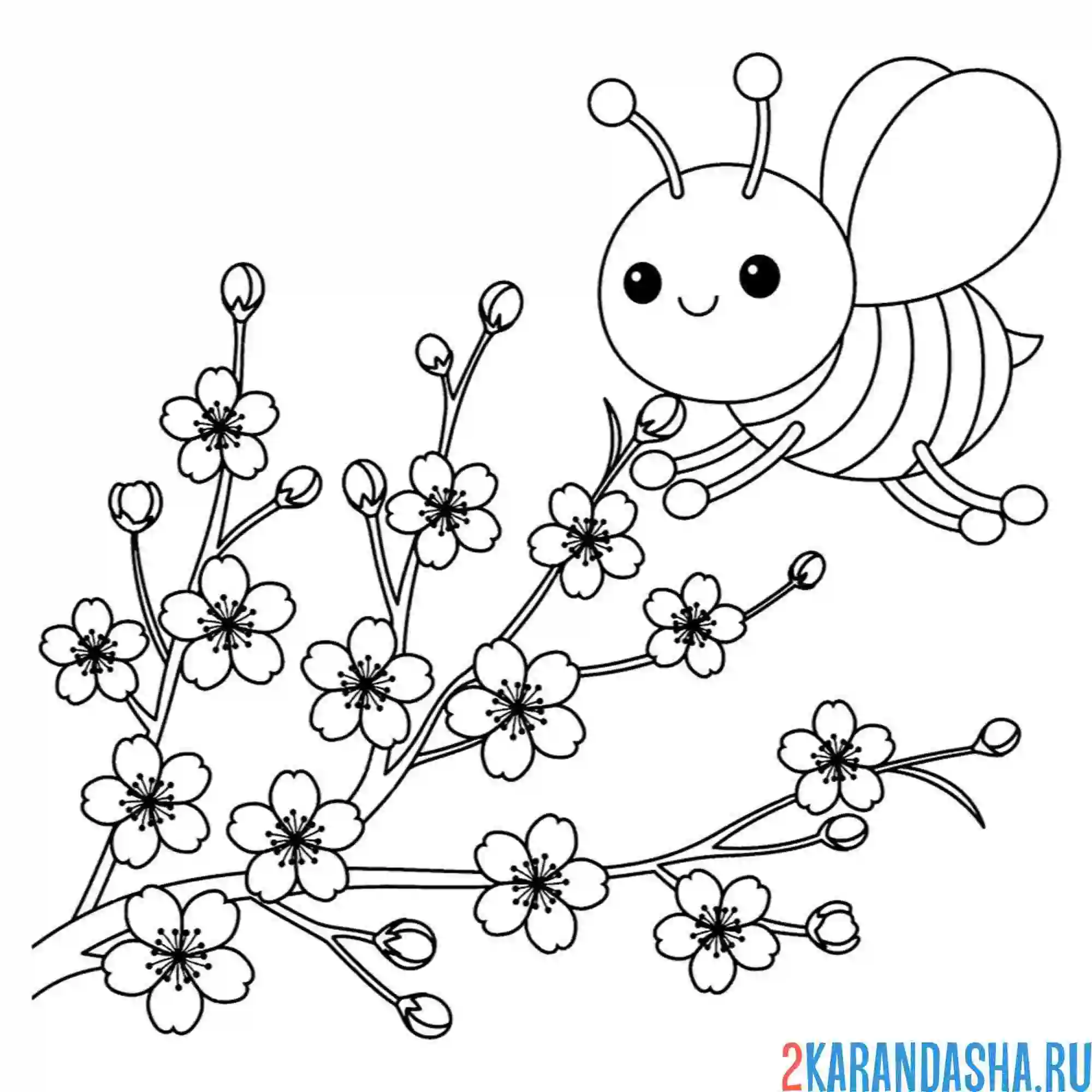 Раскраска пчела цветение