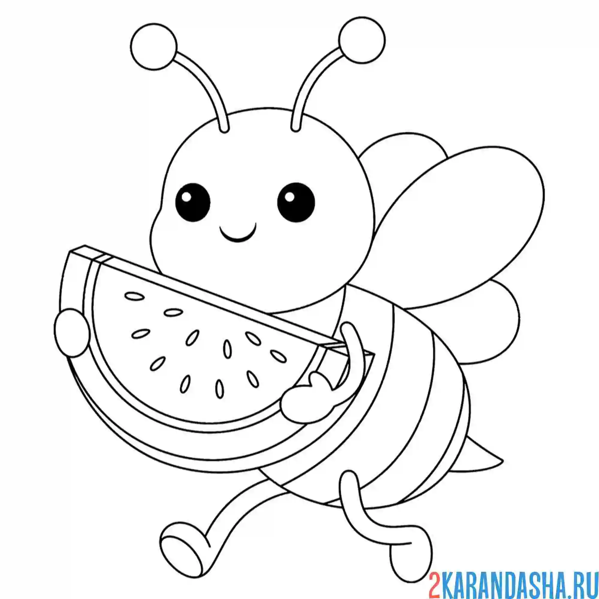 Раскраска пчела с арбузом