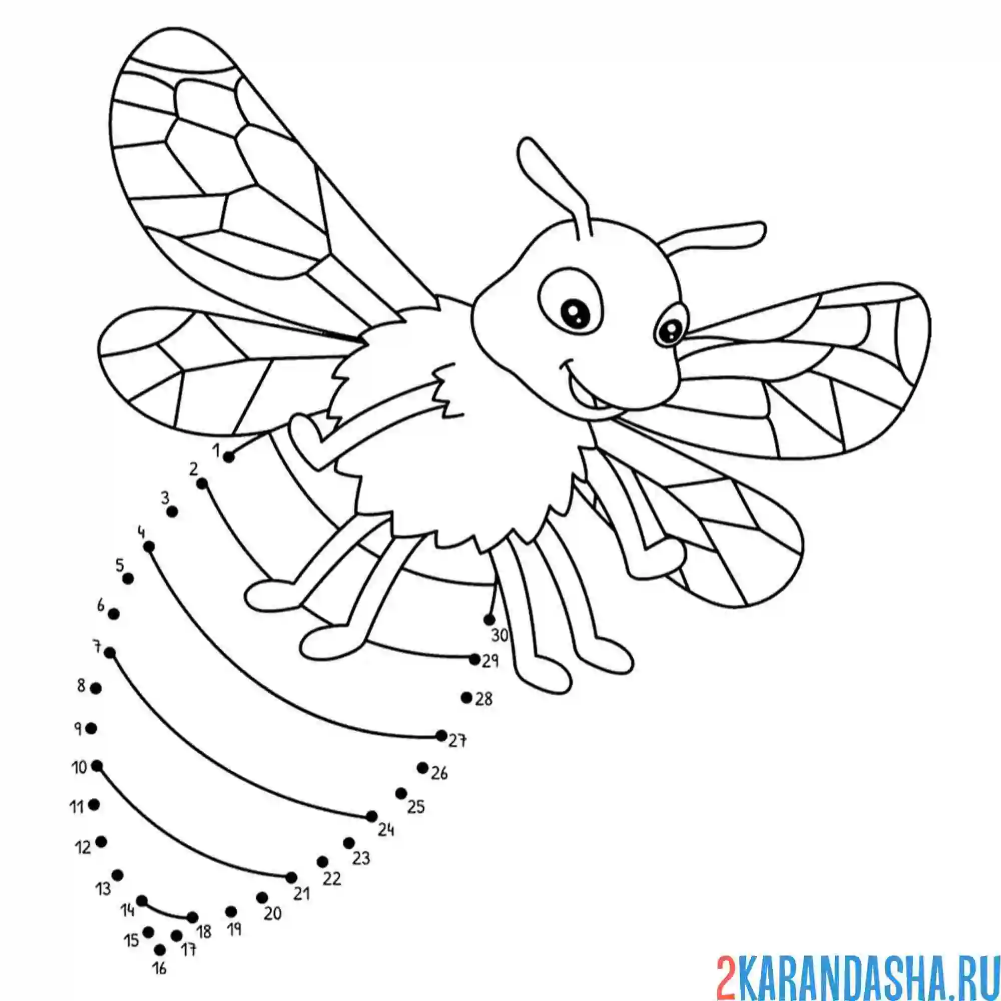 Раскраска по номерам пчела