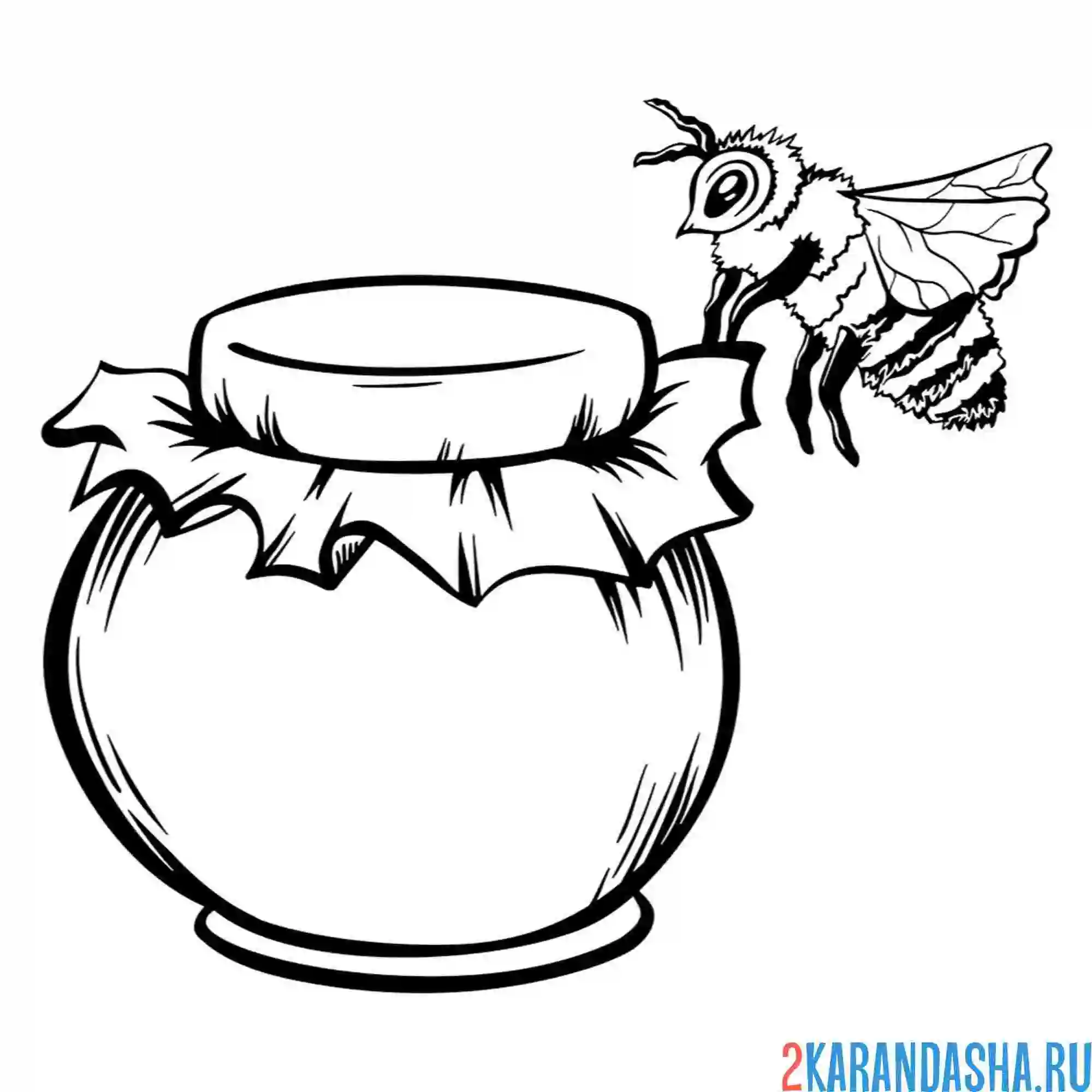 Раскраска банка варенье и пчела