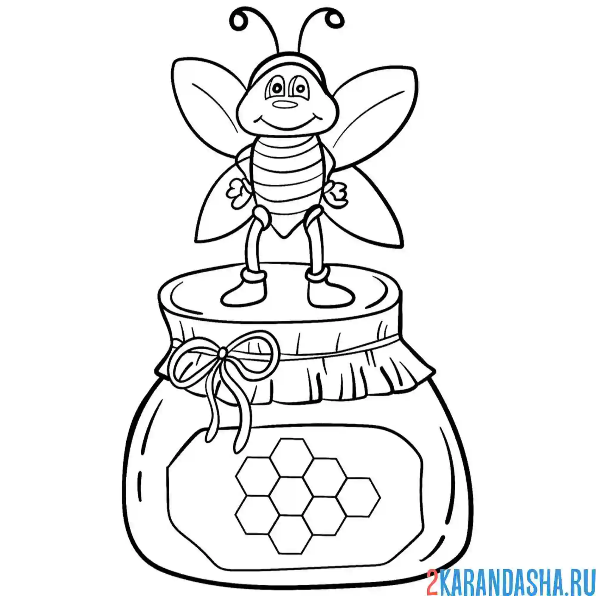Раскраска банка с медом пчела