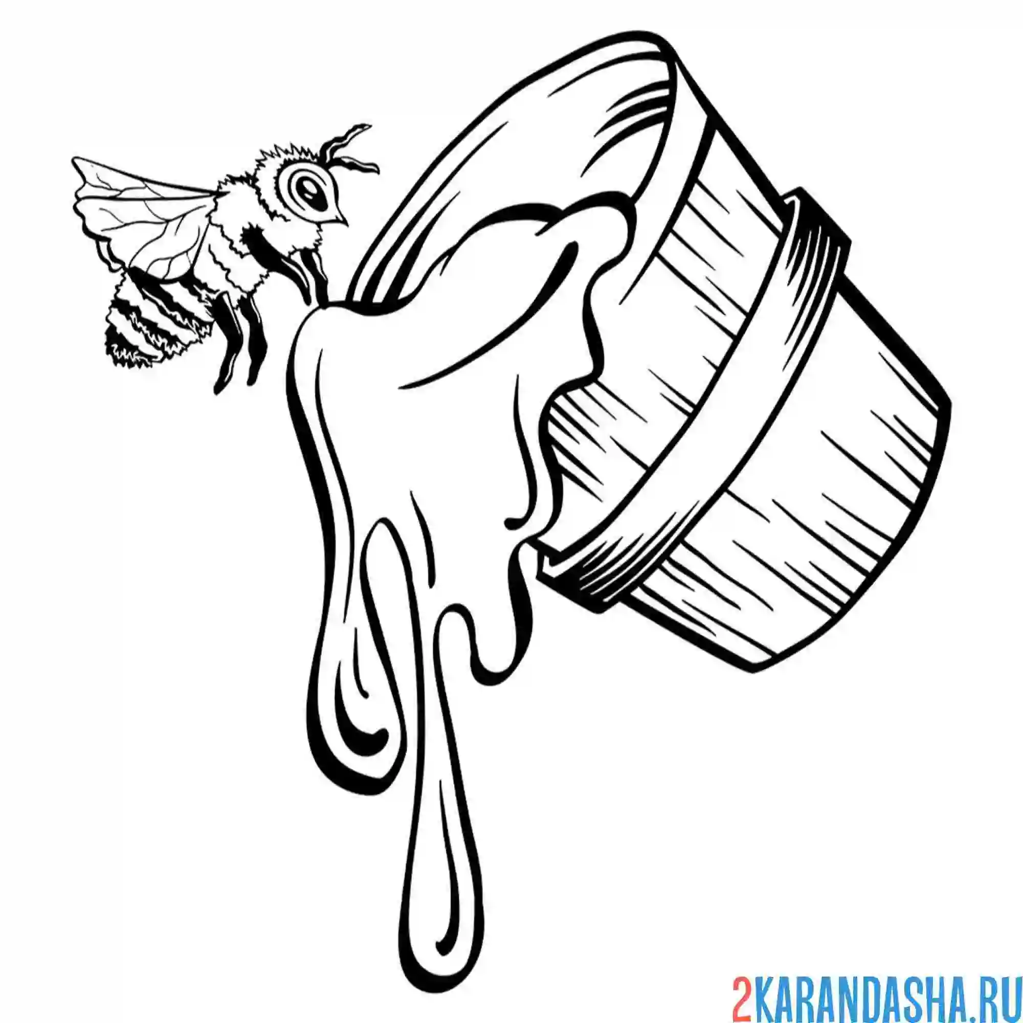 Раскраска пчела мед ведро