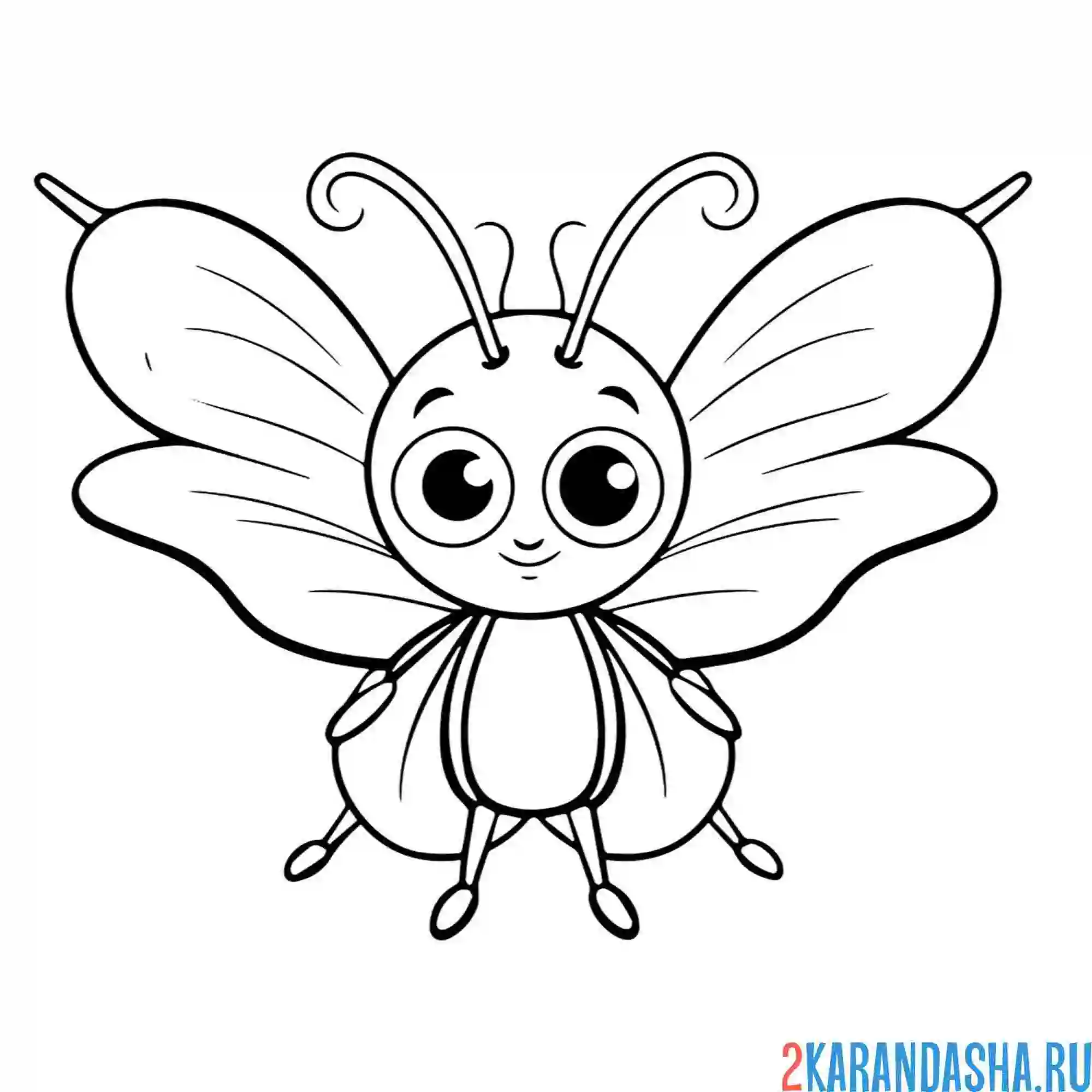 Раскраска усики бабочка