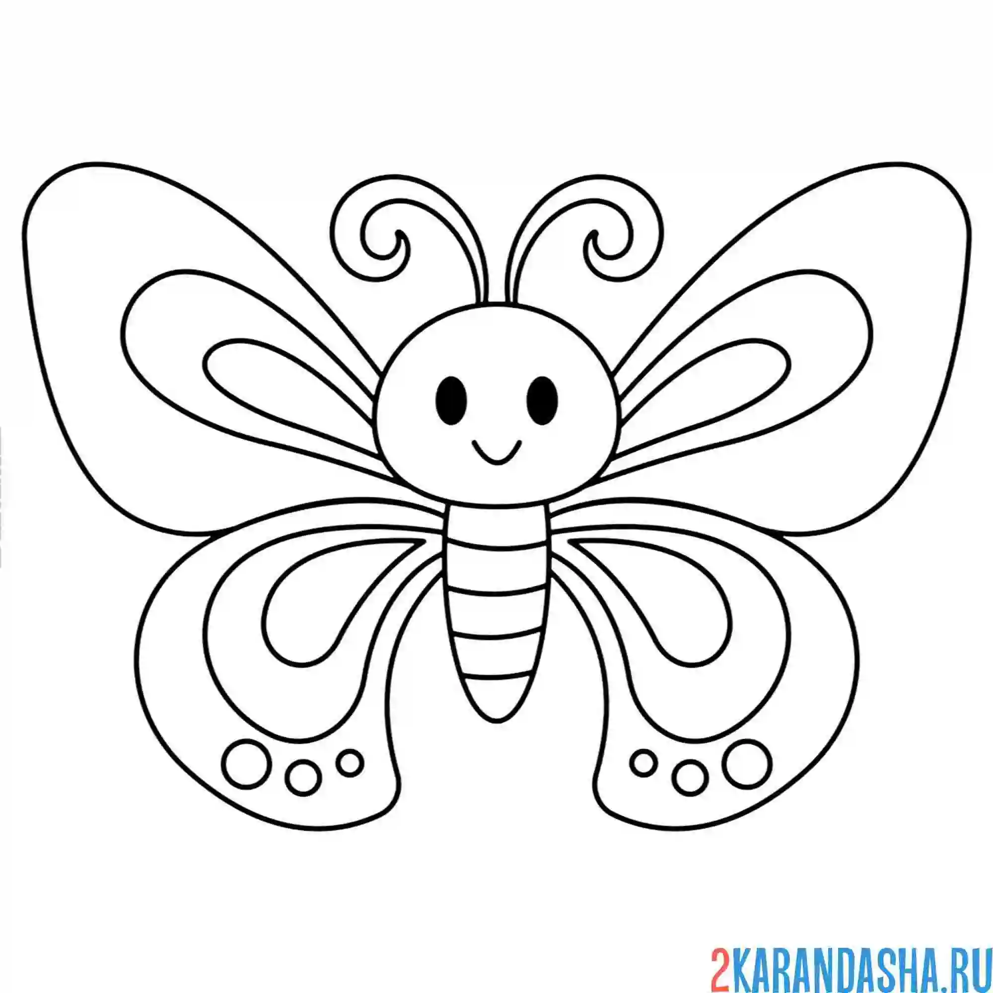Раскраска бабочка и милый рисунок