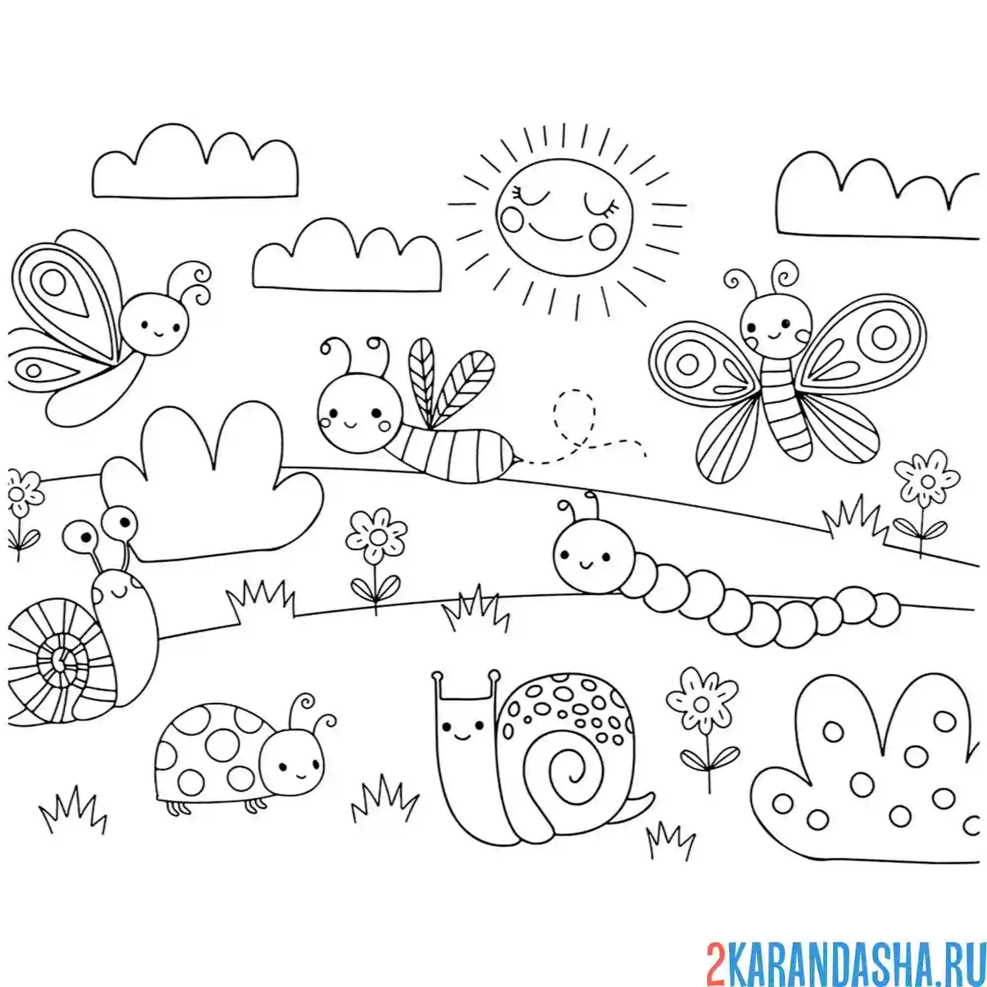 Раскраска насекомые улитка бабочки пчелы