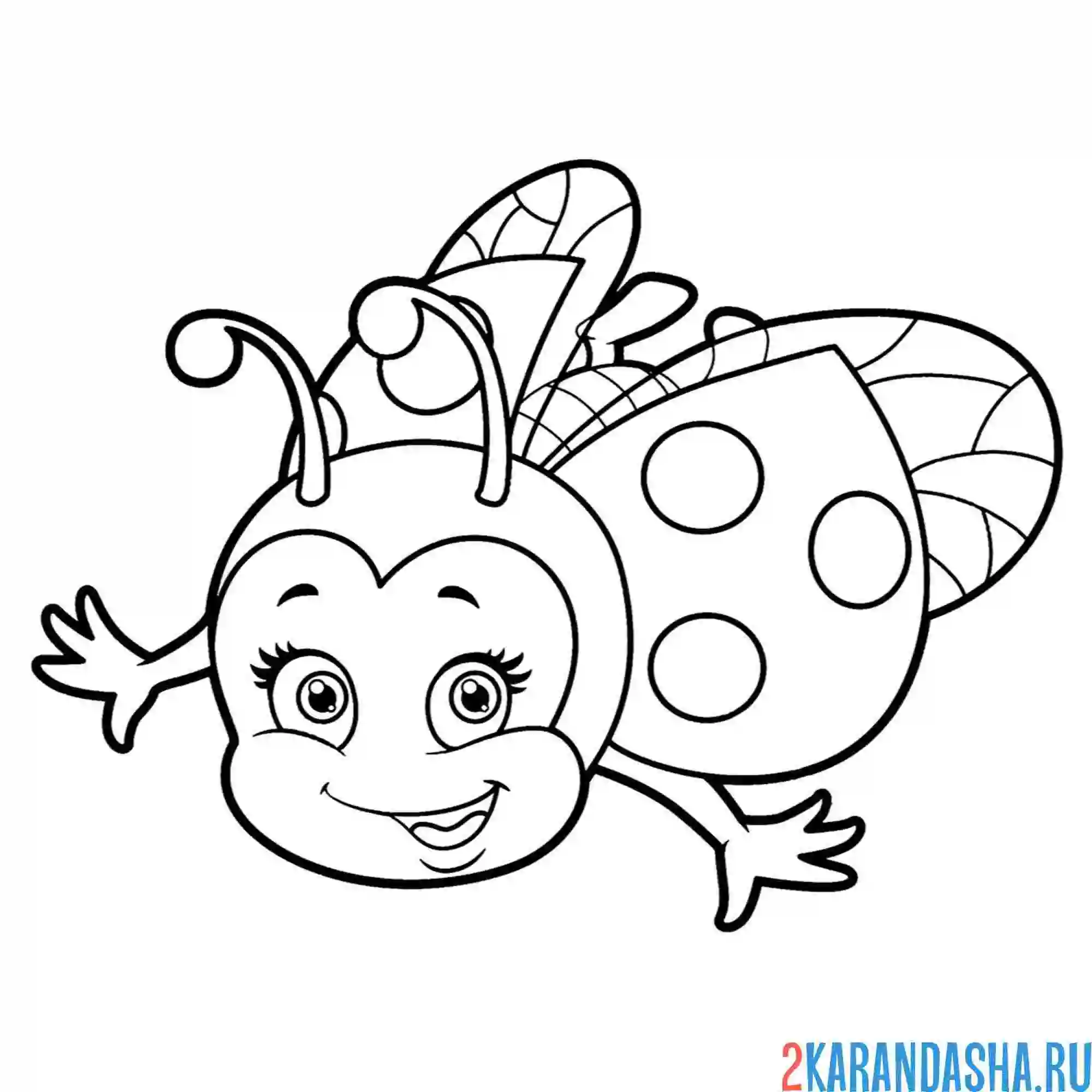 Раскраска божья коровка в полете