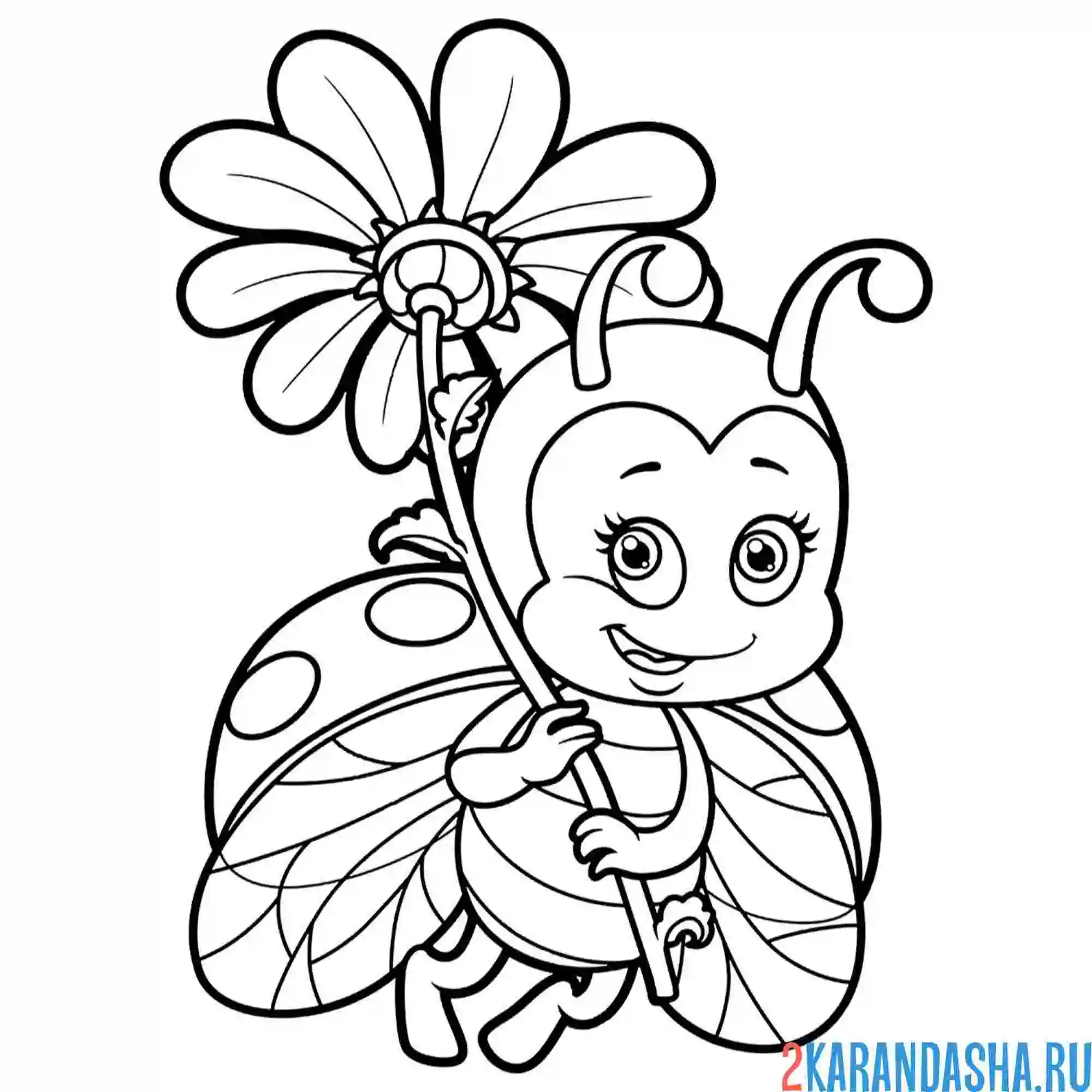 Раскраска божья коровка с цветочком