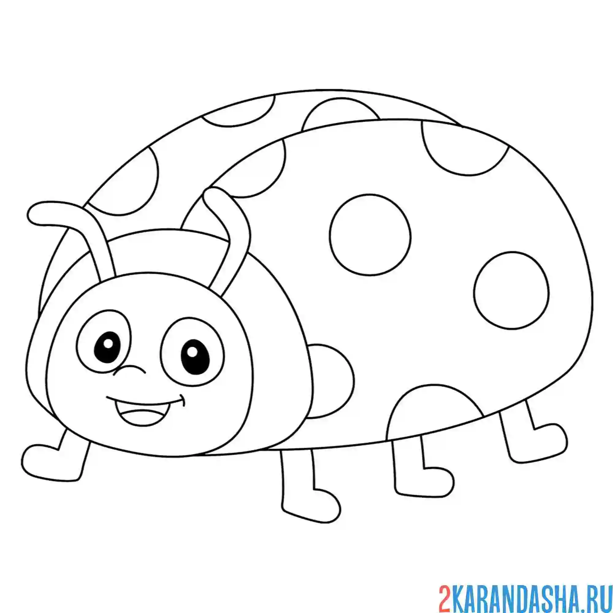 Раскраска божья коровка с усиками