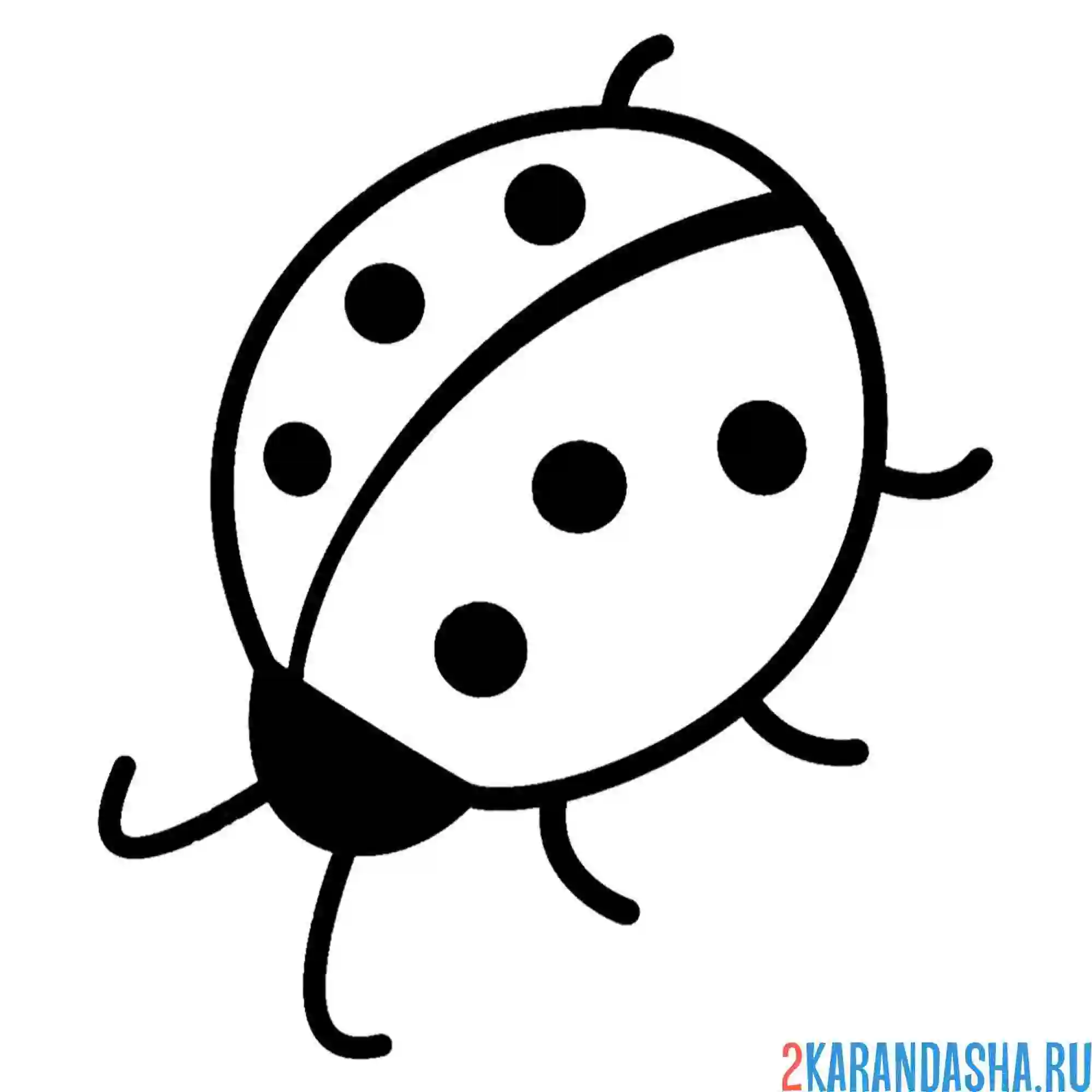Раскраска божья коровка простая