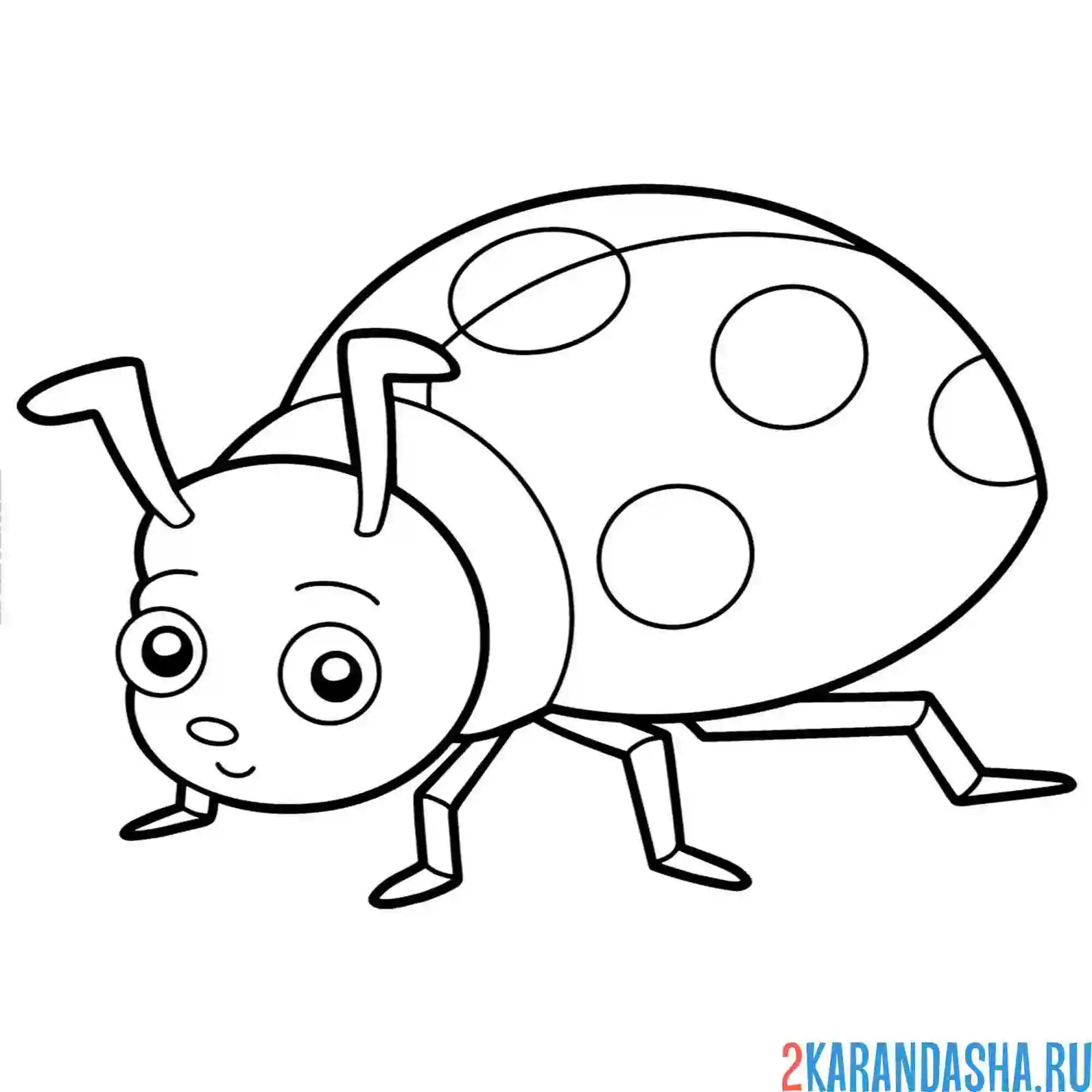 Раскраска божья коровка насекомое