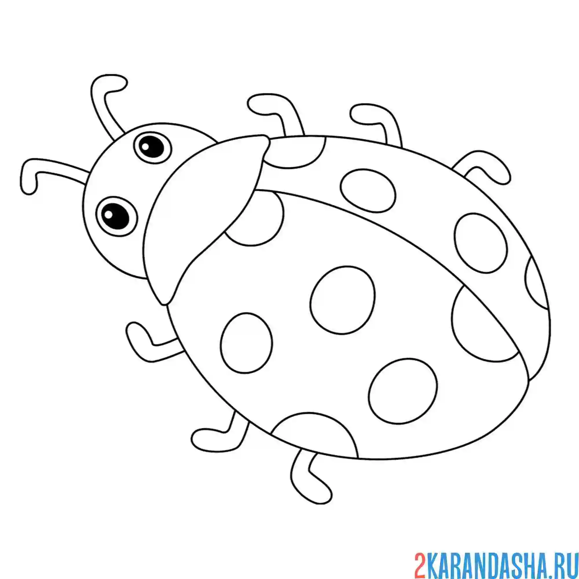 Раскраска божья коровка простой рисунок