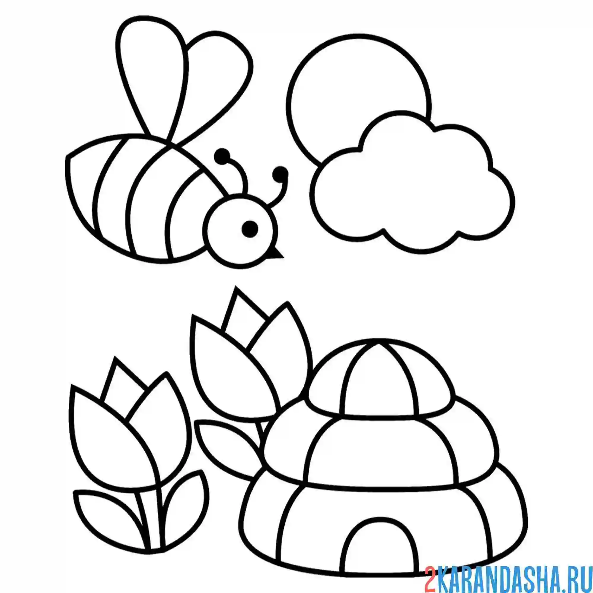 Раскраска пчела и улей с тюльпаном