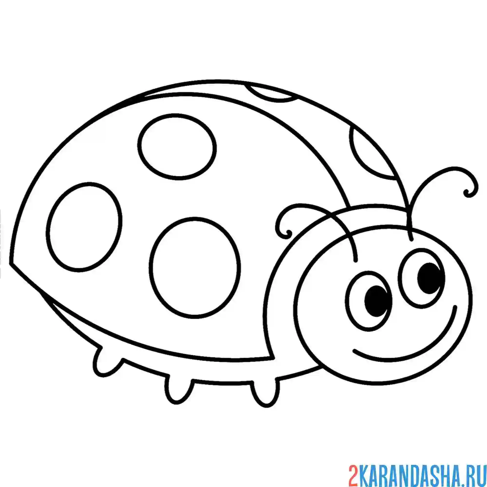 Раскраска божья коровка сложила крылья