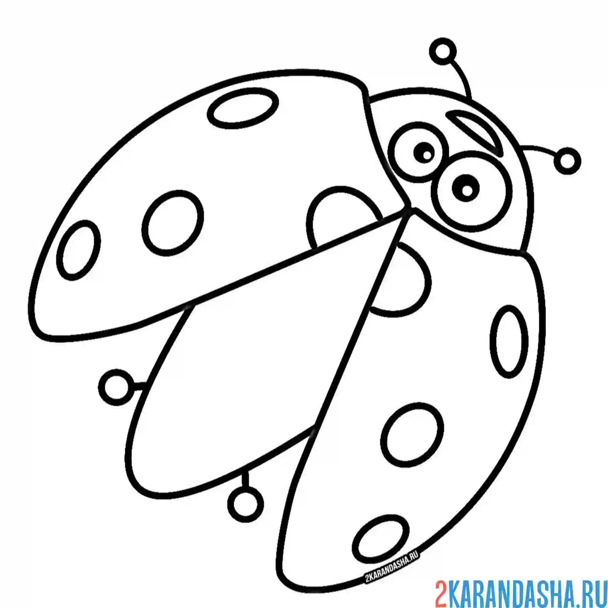 Раскраска божья коровка готовится к взлету