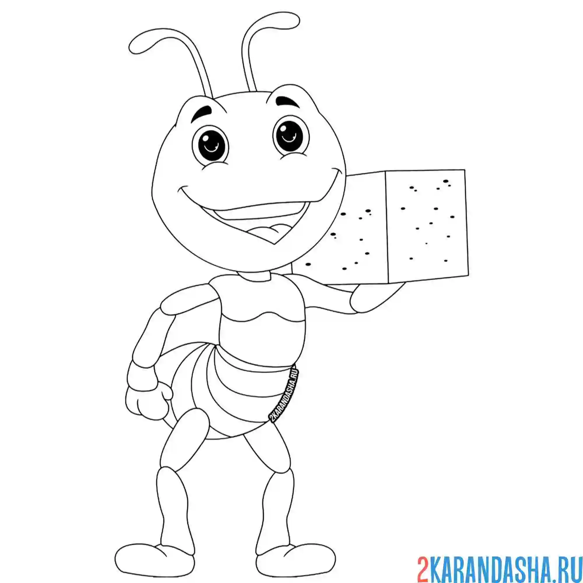 Раскраска муравей и кубик