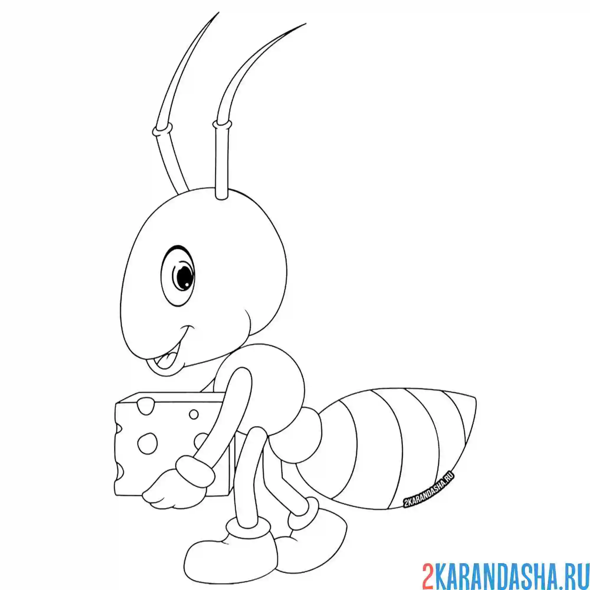 Раскраска муравей трудяжка