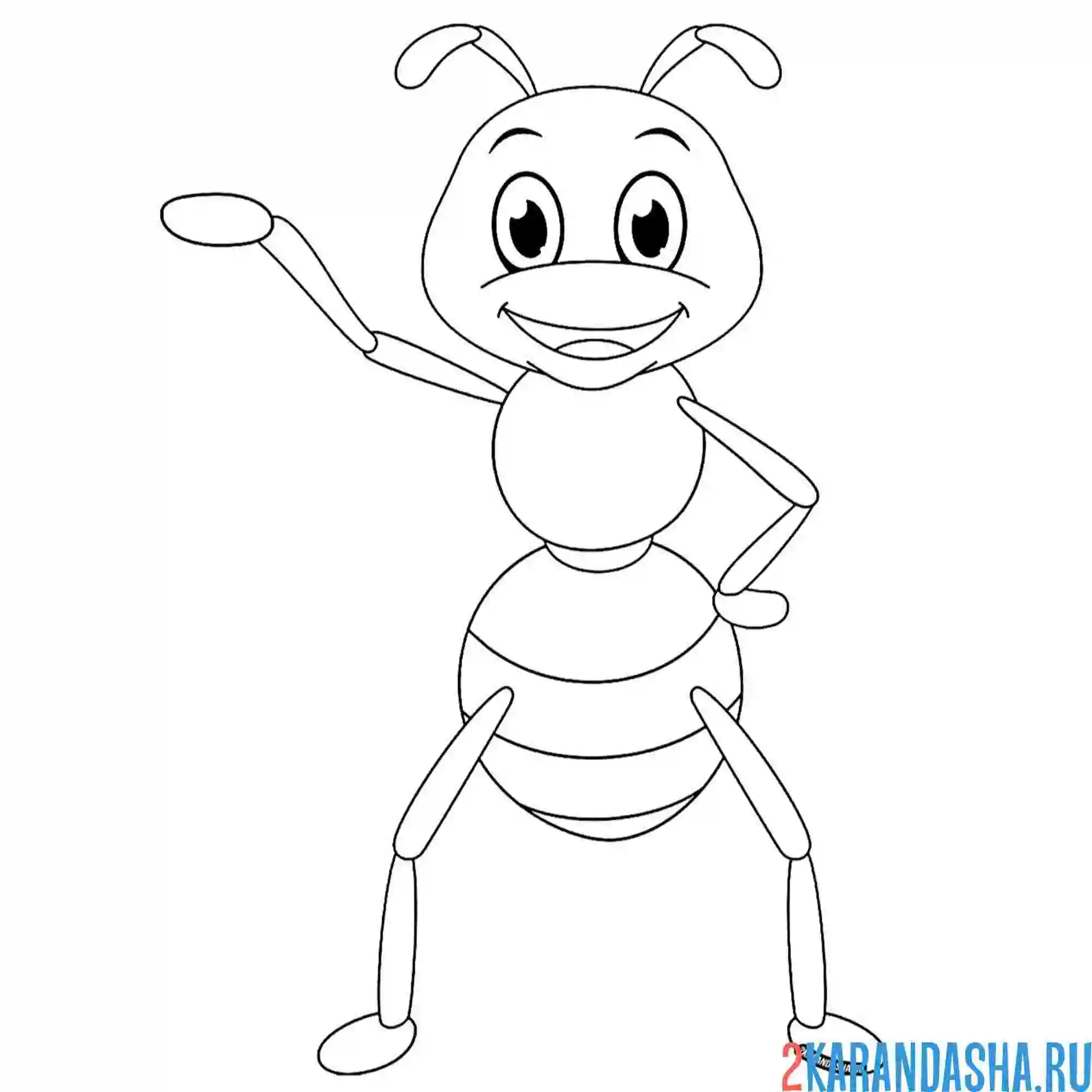 Раскраска муравей приветствие