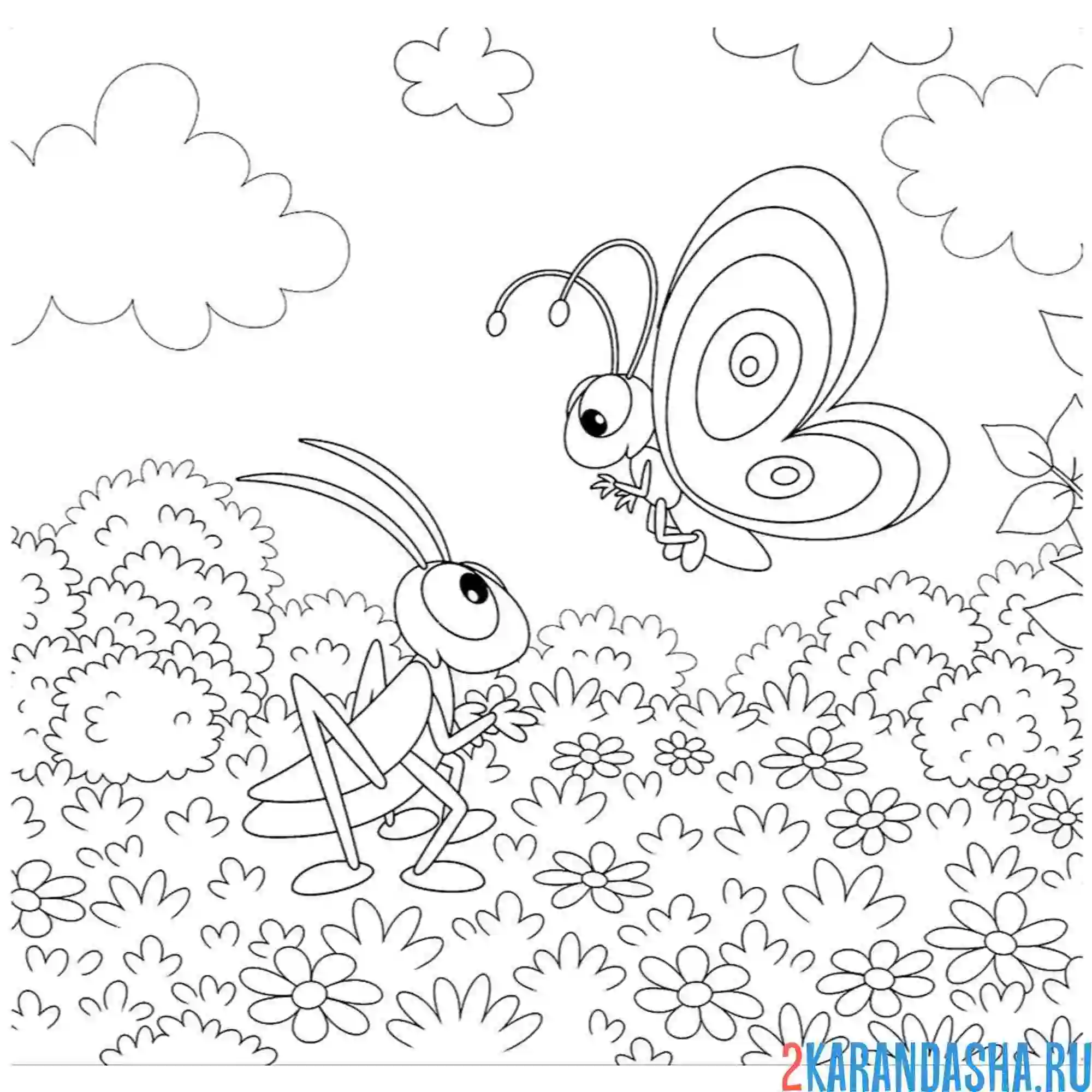 Раскраска кузнечик и бабочка