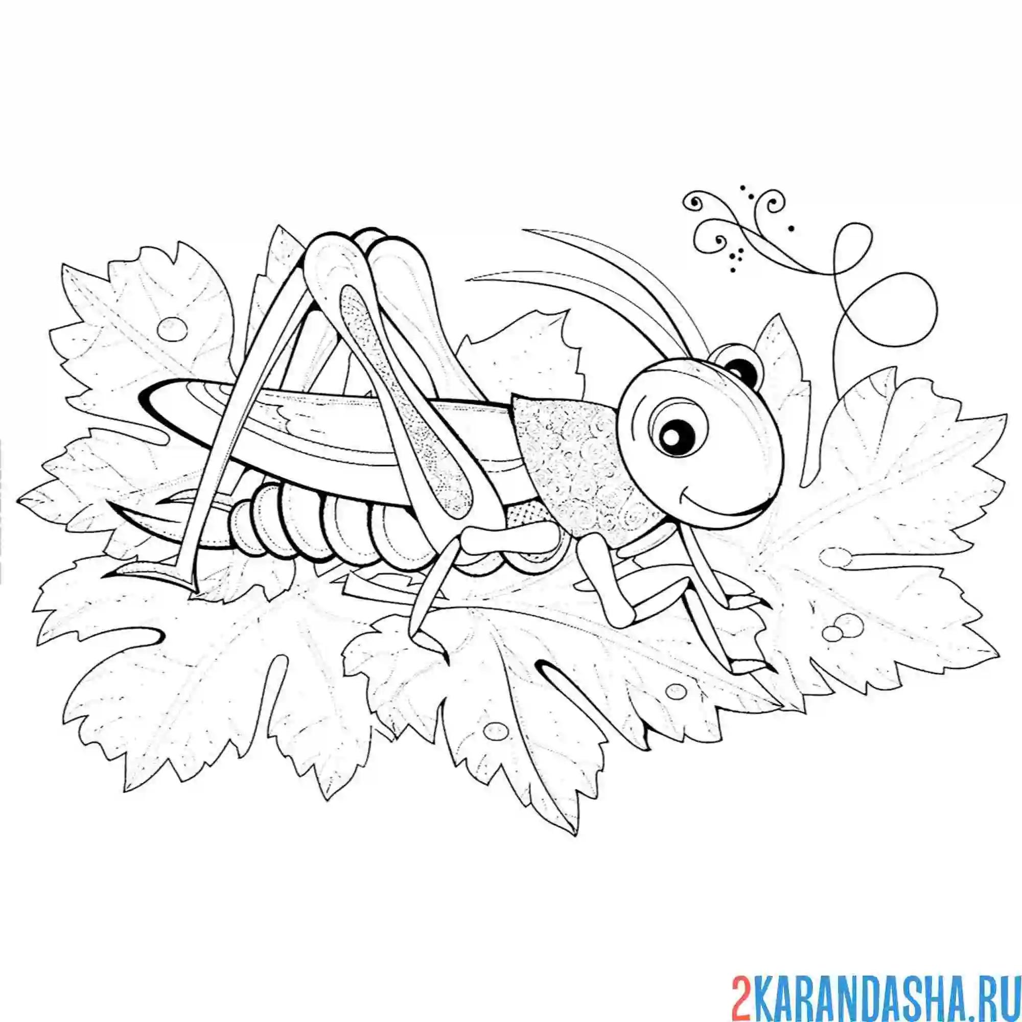 Раскраска кузнечик в лесу
