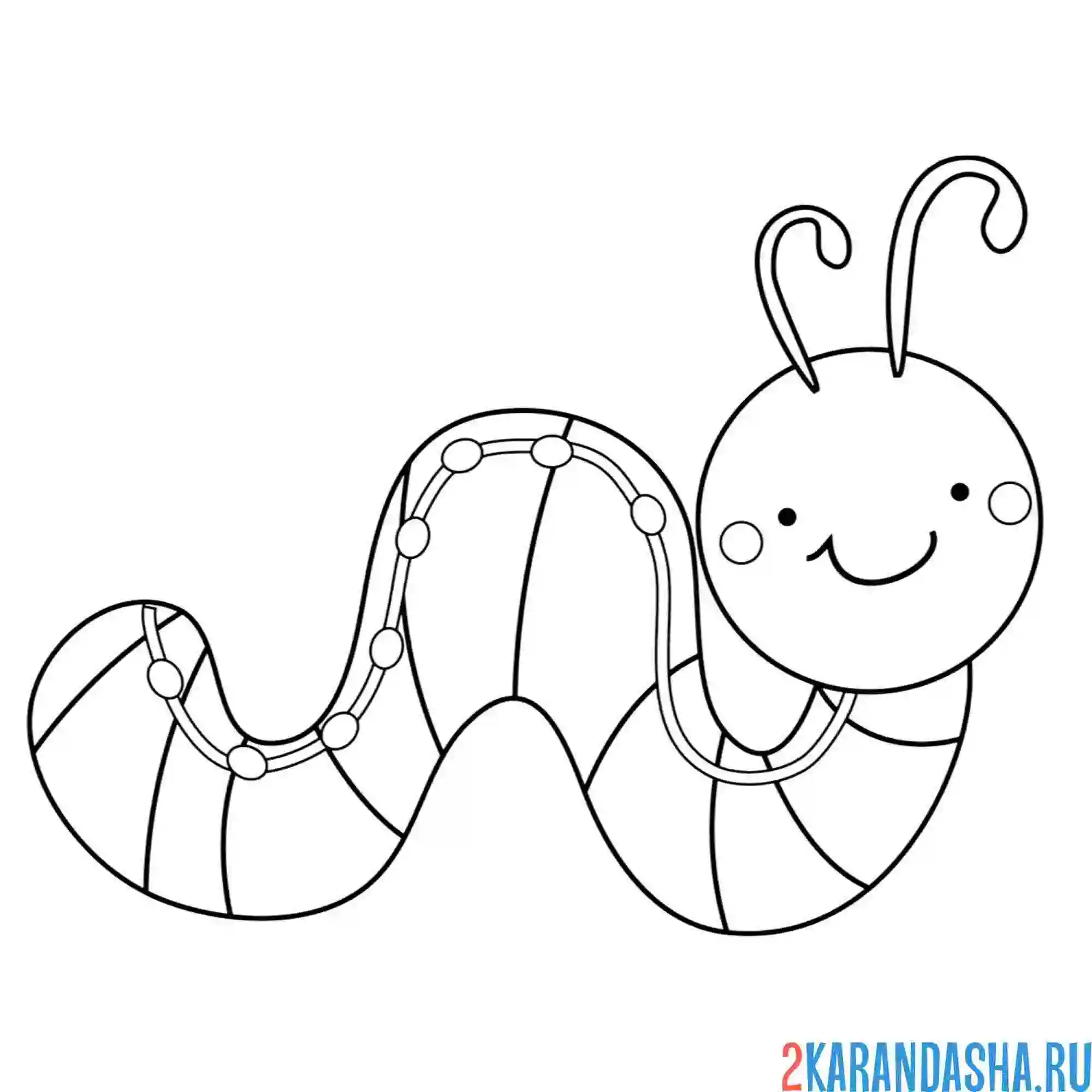 Раскраска гусеница с усиками
