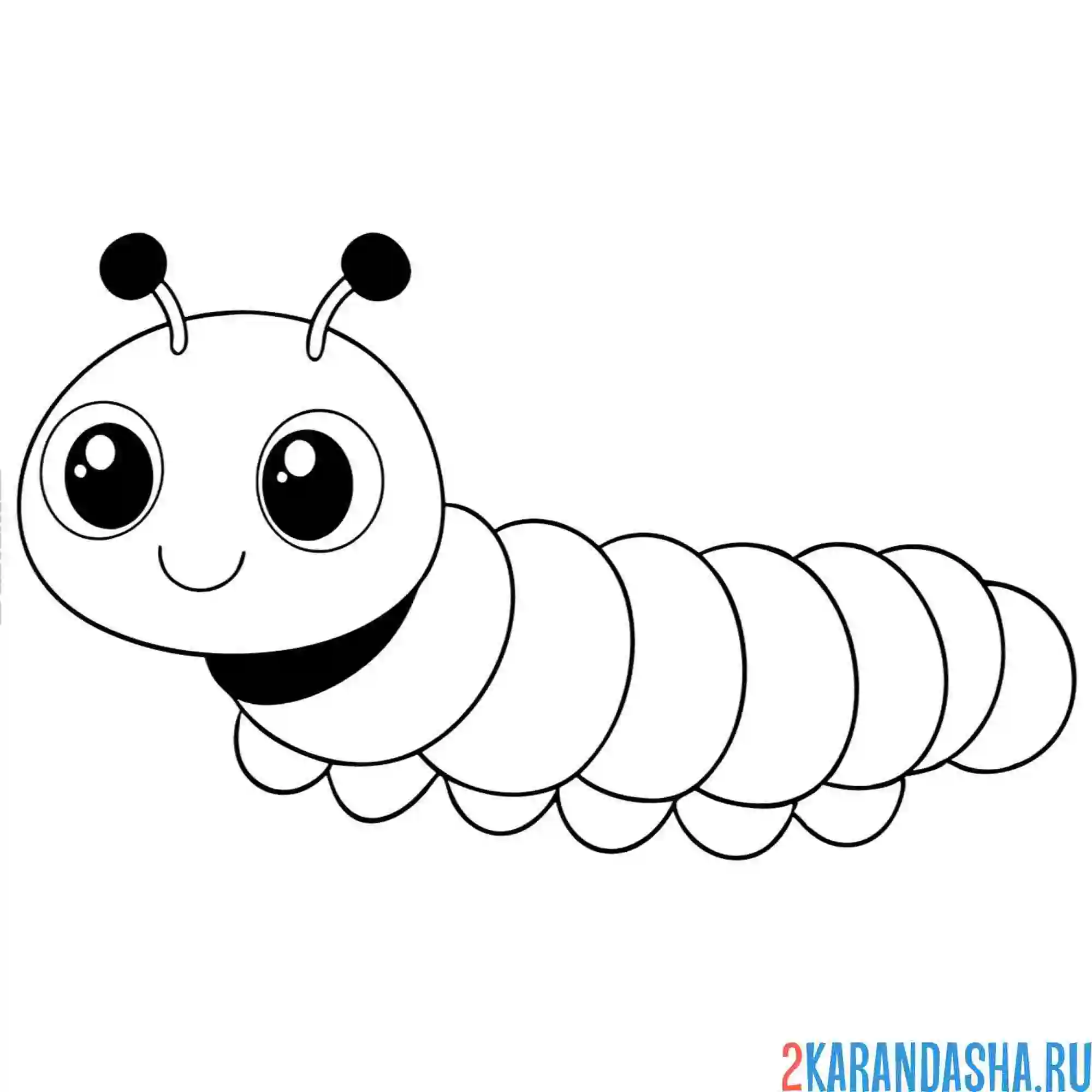 Раскраска гусеница ползет