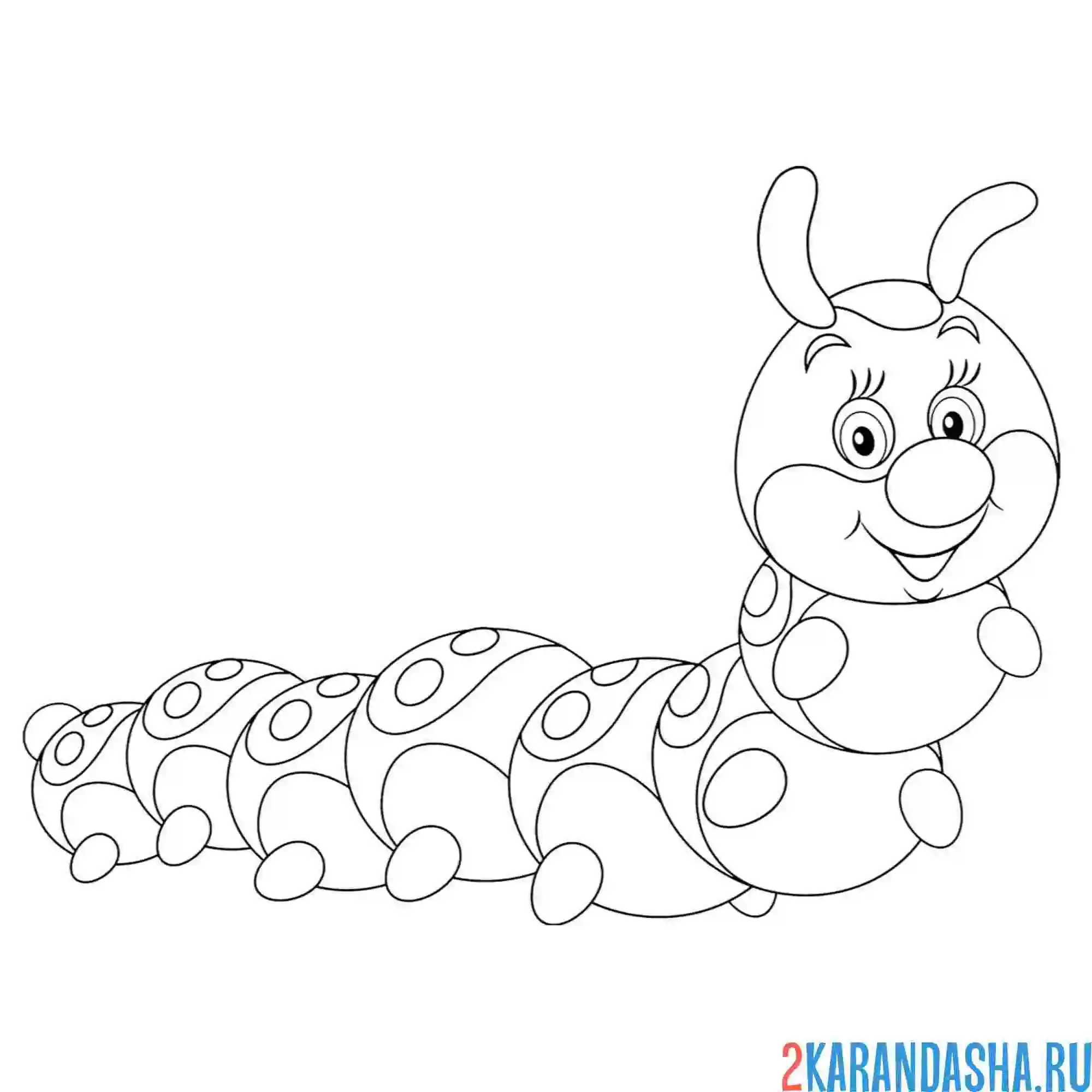 Раскраска небольшая гусеница