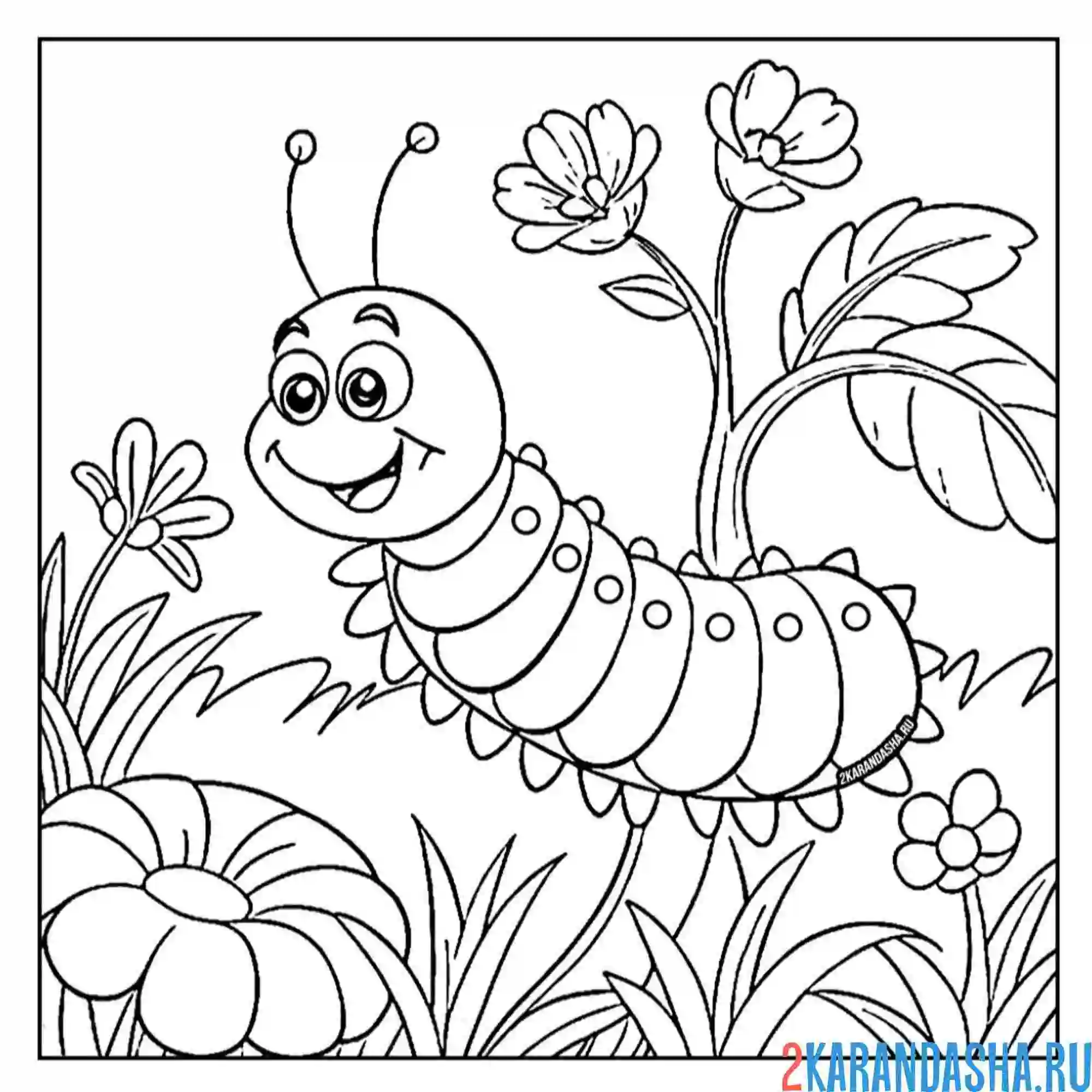 Раскраска гусеница в траве на листочке