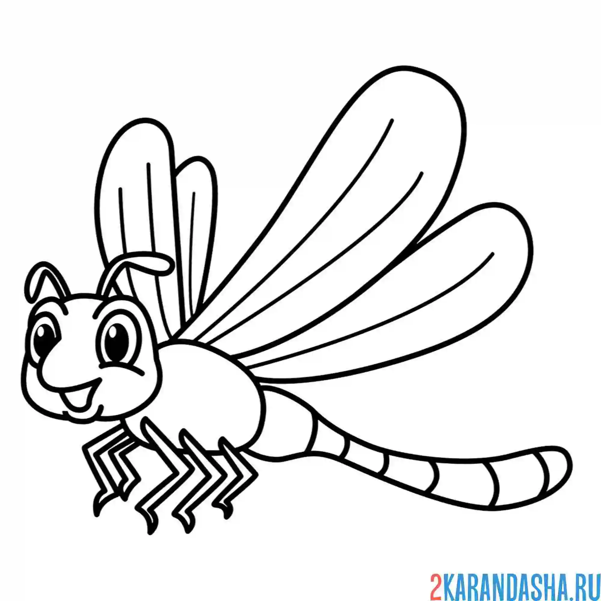 Раскраска стрекоза летающая