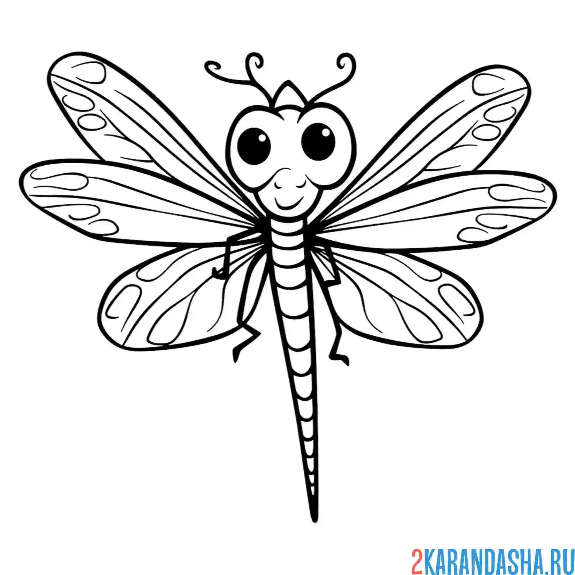 Раскраска необычная стрекоза