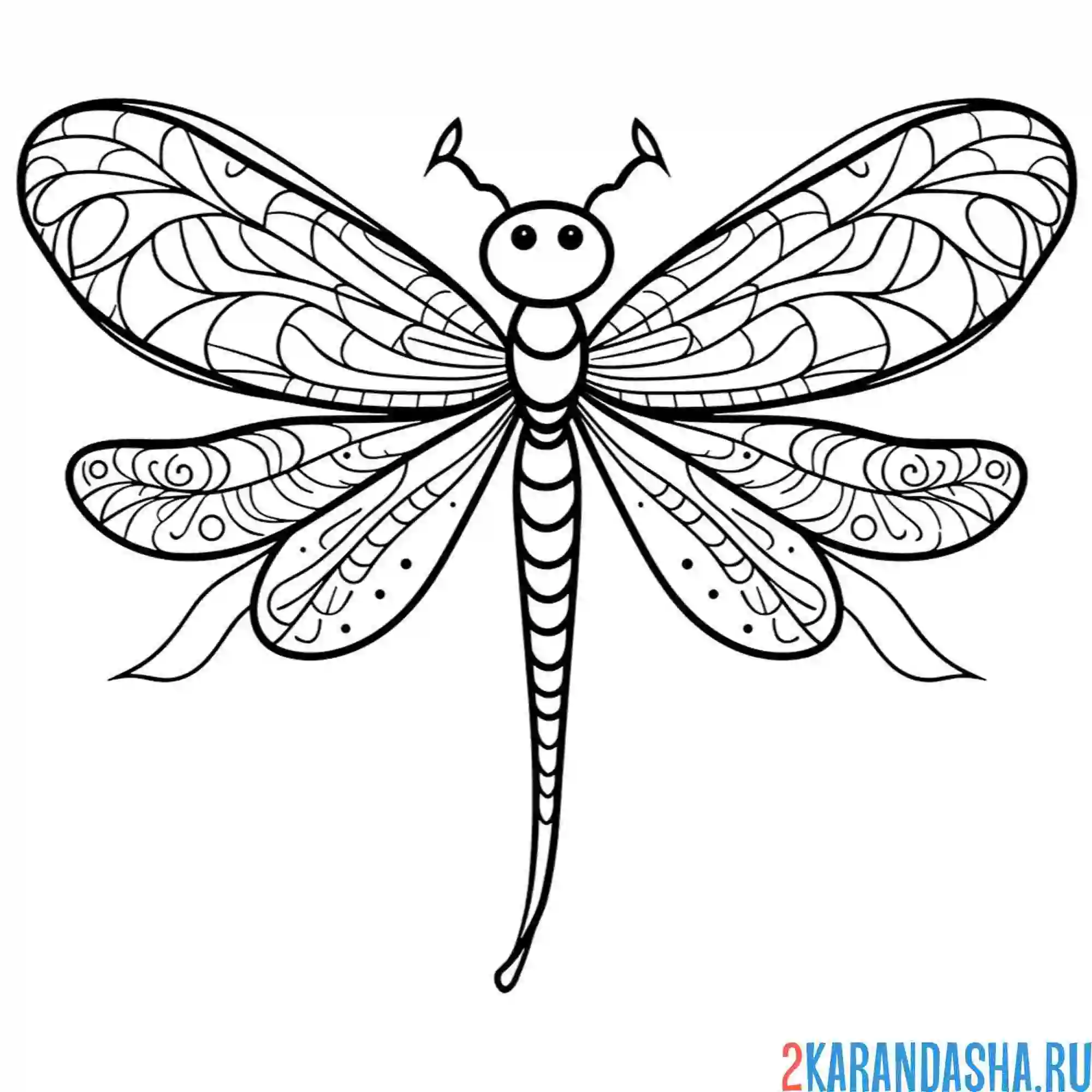 Раскраска стрекоза с большими крыльями