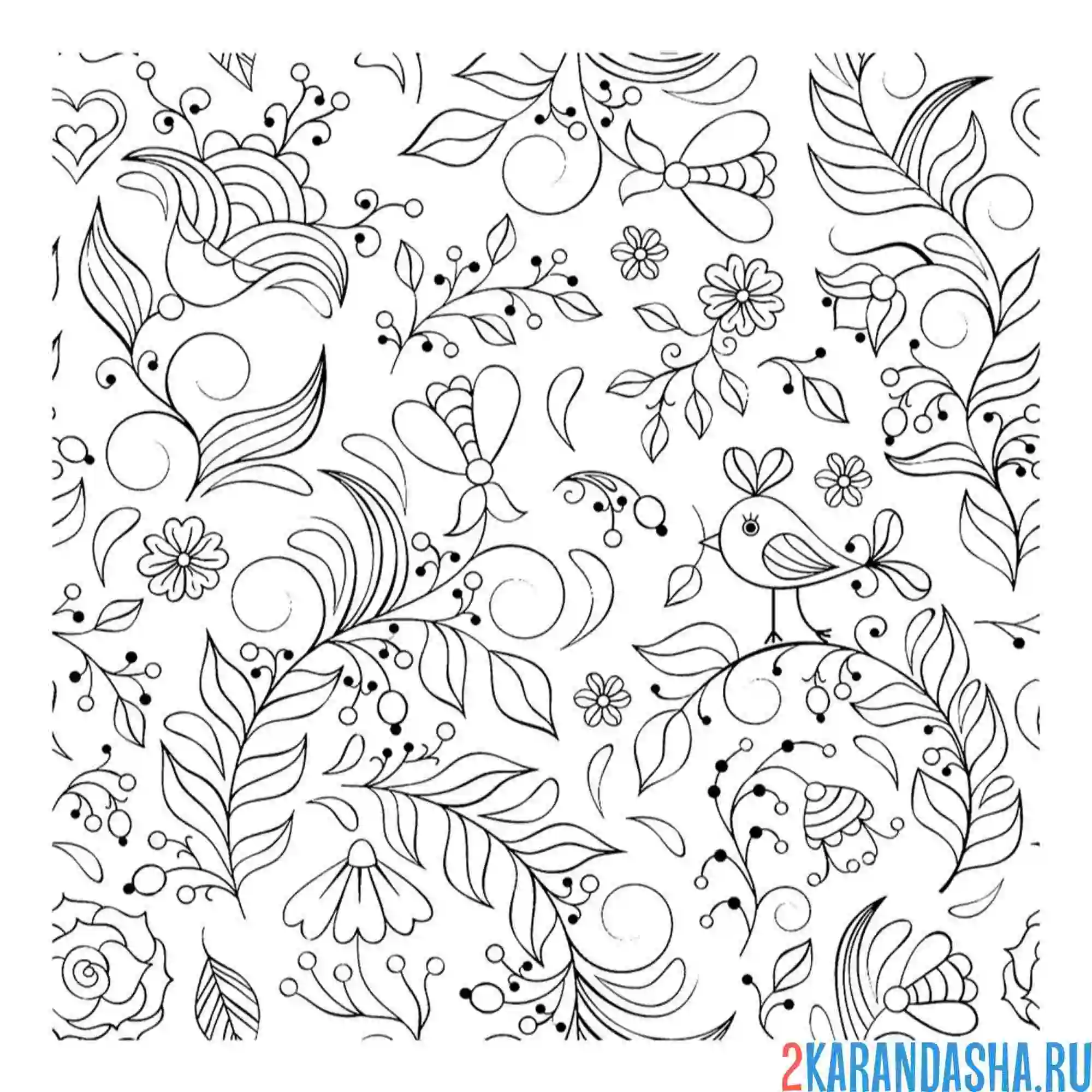 Раскраска насекомые узор