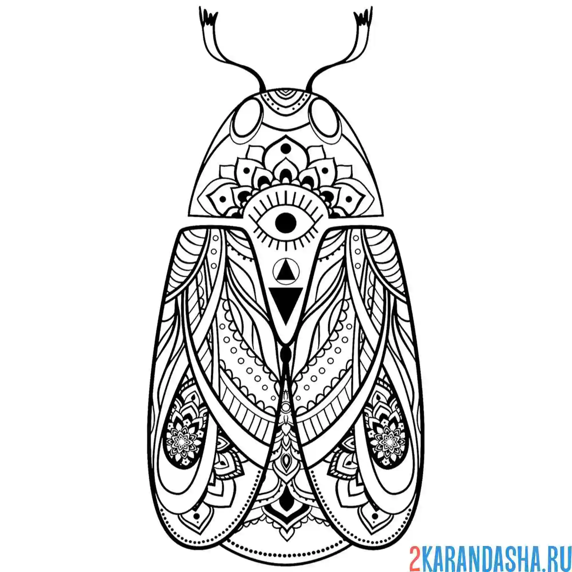 Раскраска антистресс насекомое