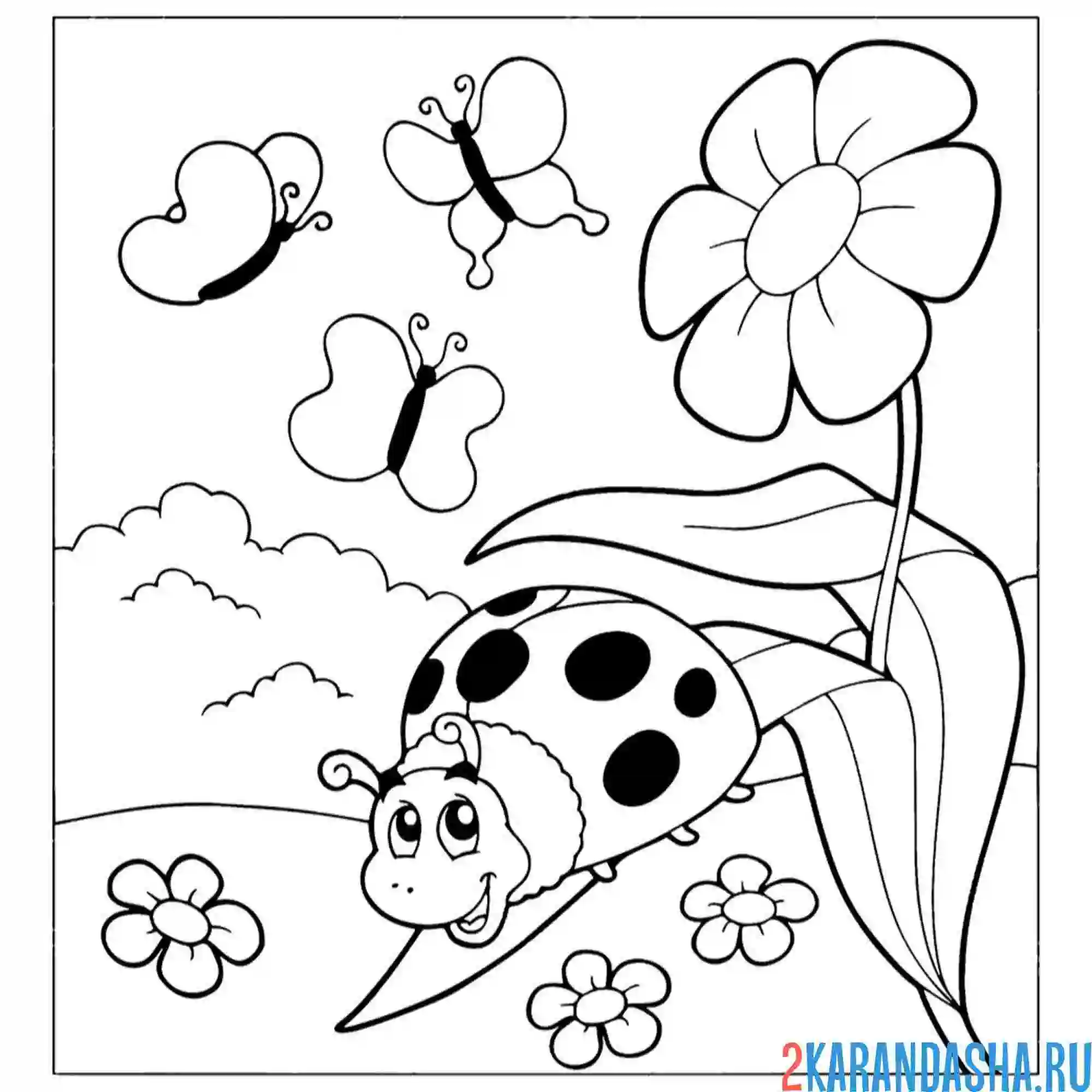 Раскраска божья коровка и бабочки насекомые