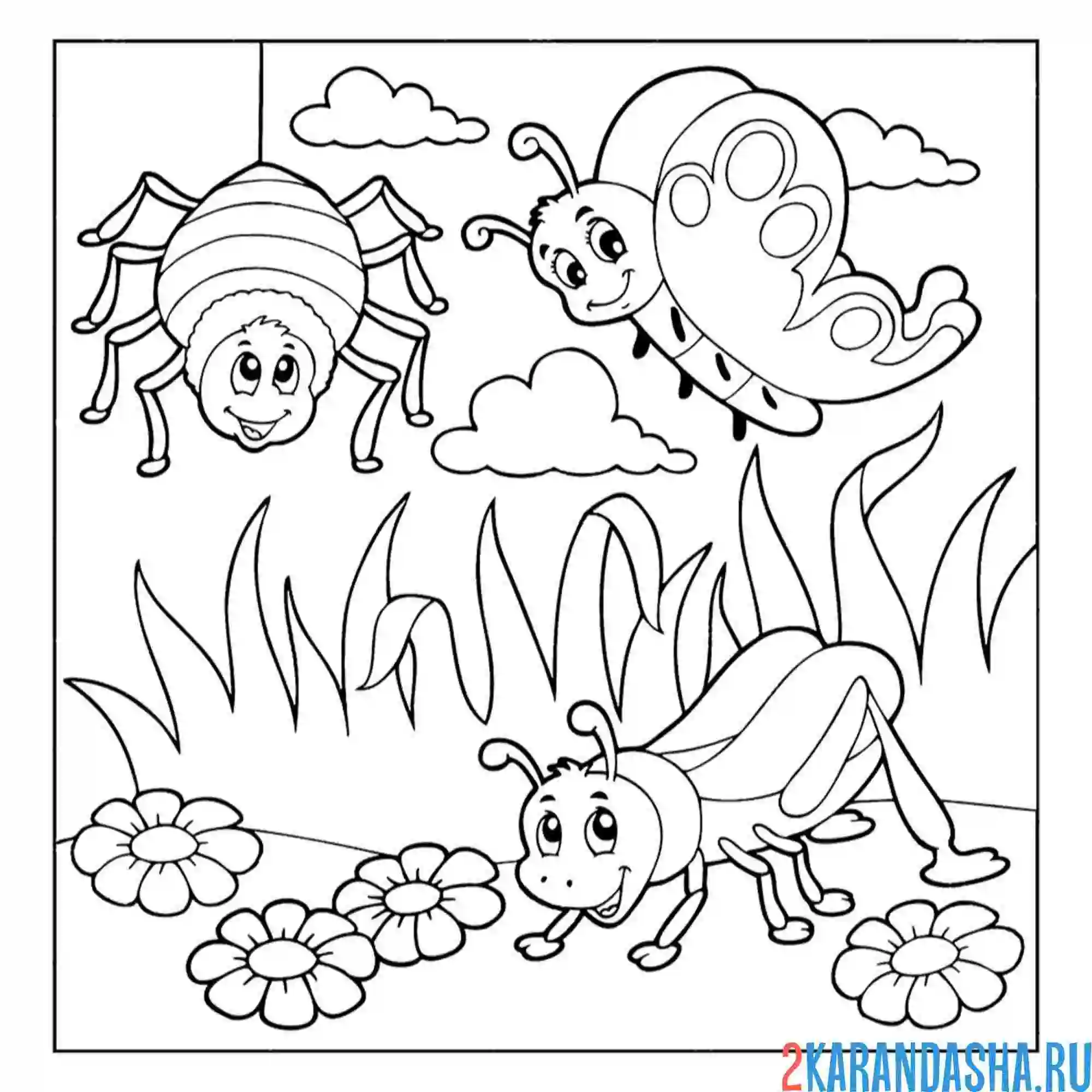 Раскраска паук бабочка и кузнечик насекомые